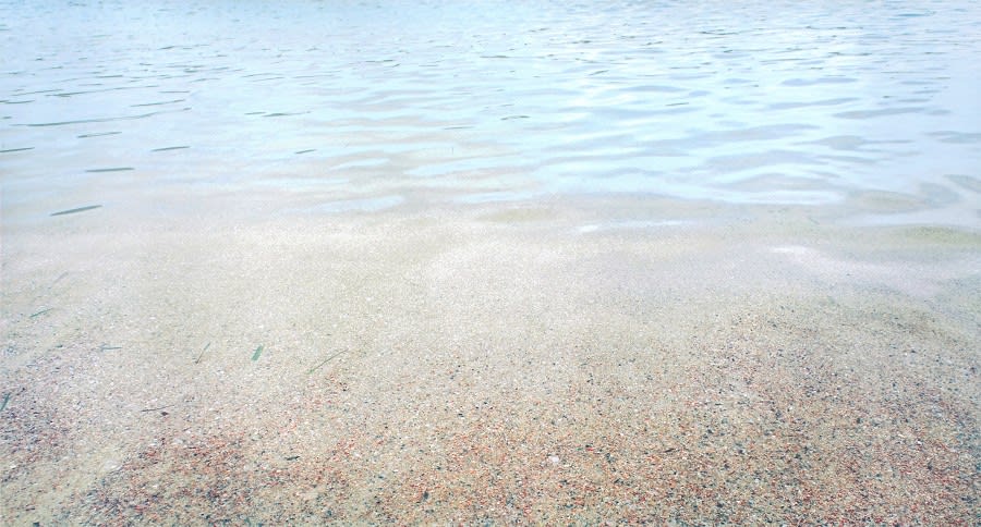 John Mackechnie, Camas Rubha a Mhurain