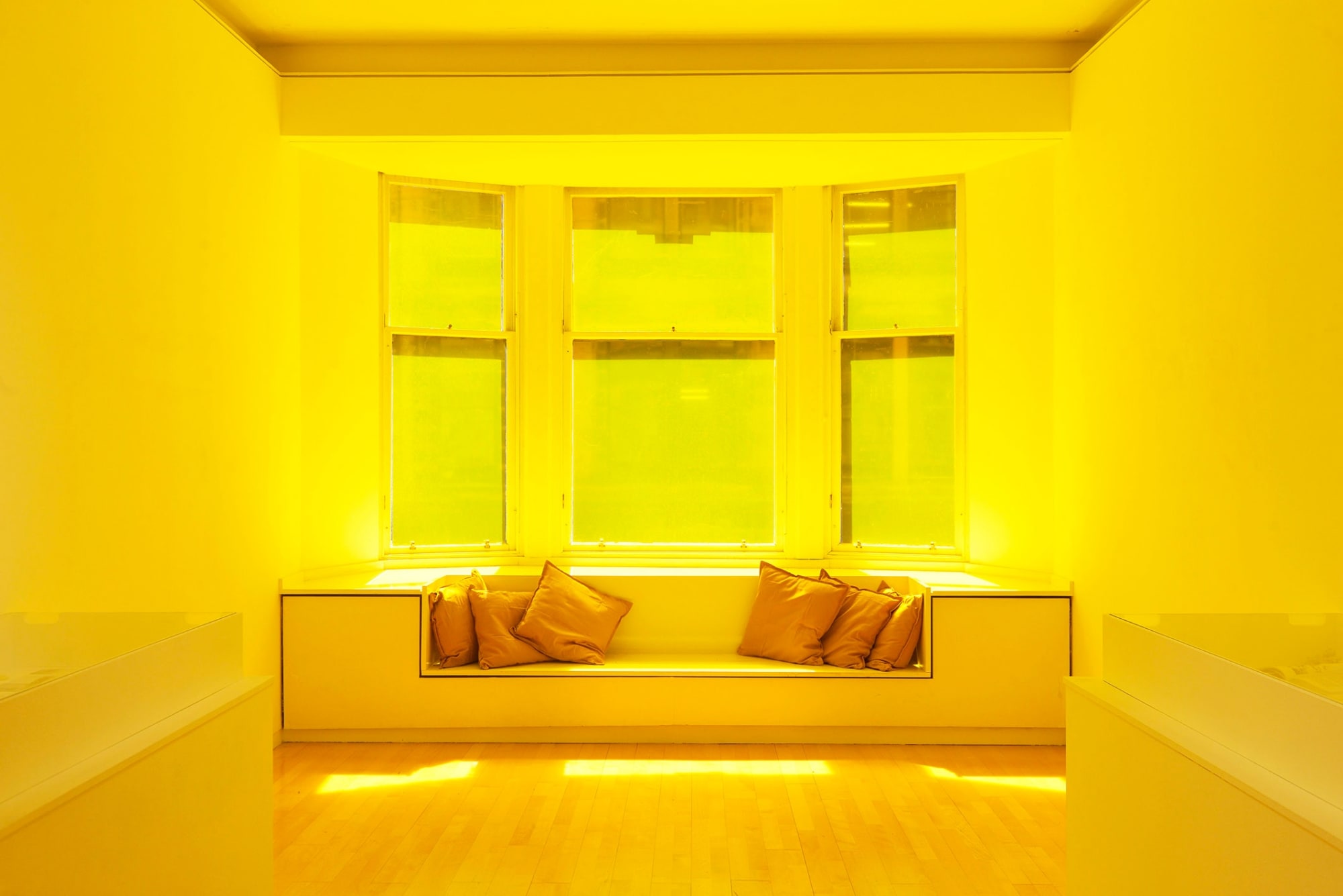 Lauren La Rose, Bask in the Light of Freedom, 2024