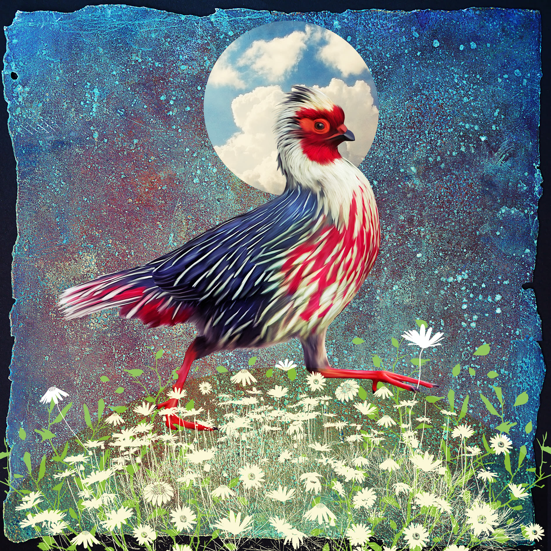 Fiona Watson, I'm Having a Field Day, 2023