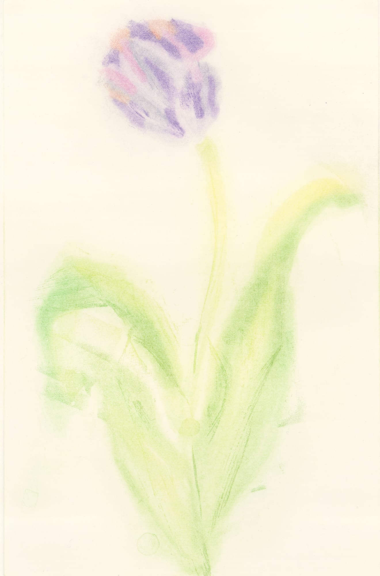 Mary T. Johnson, Tulip in Purple with Plastic Recycling, 2025