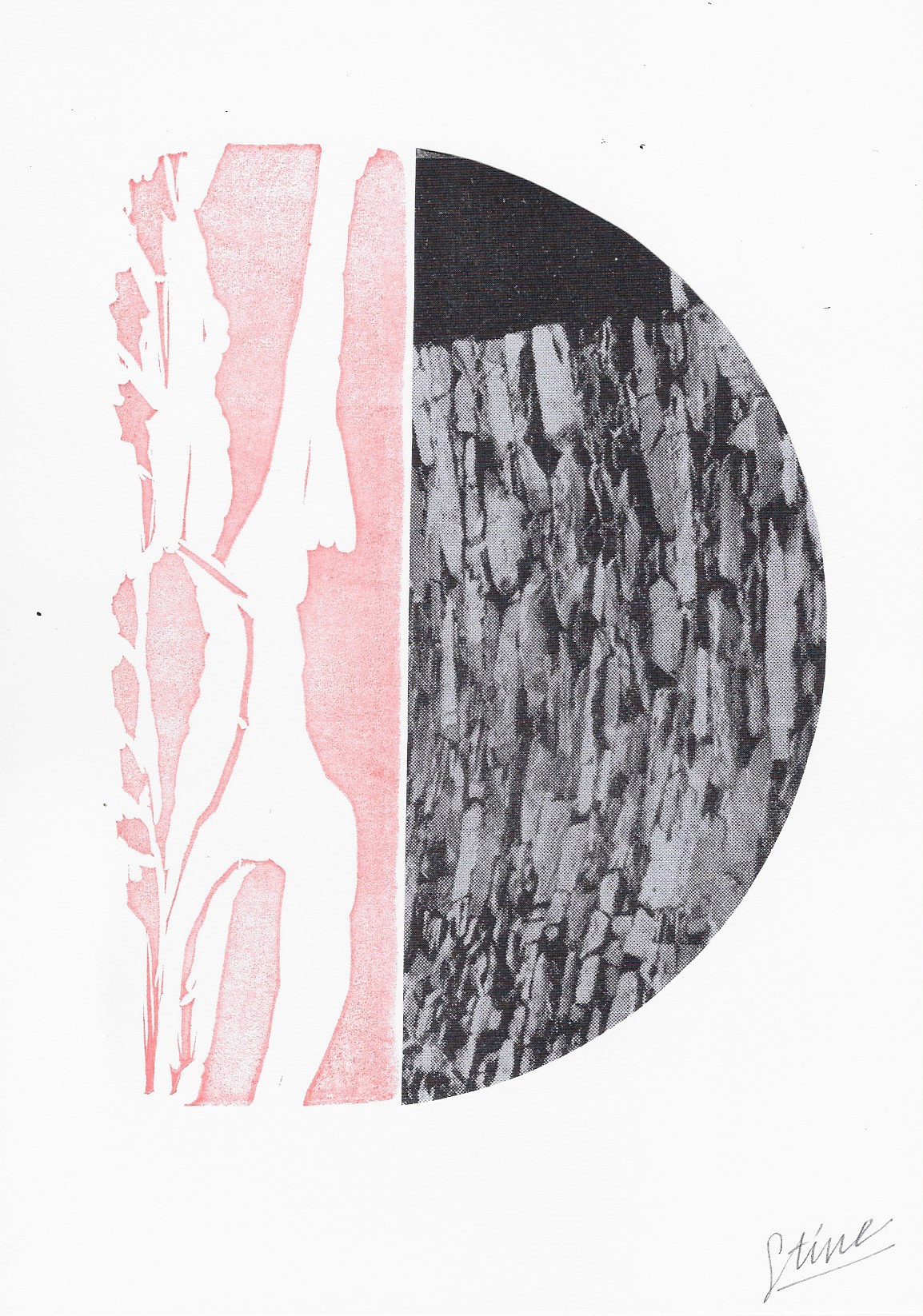 Christine Novosel, Moonwalker