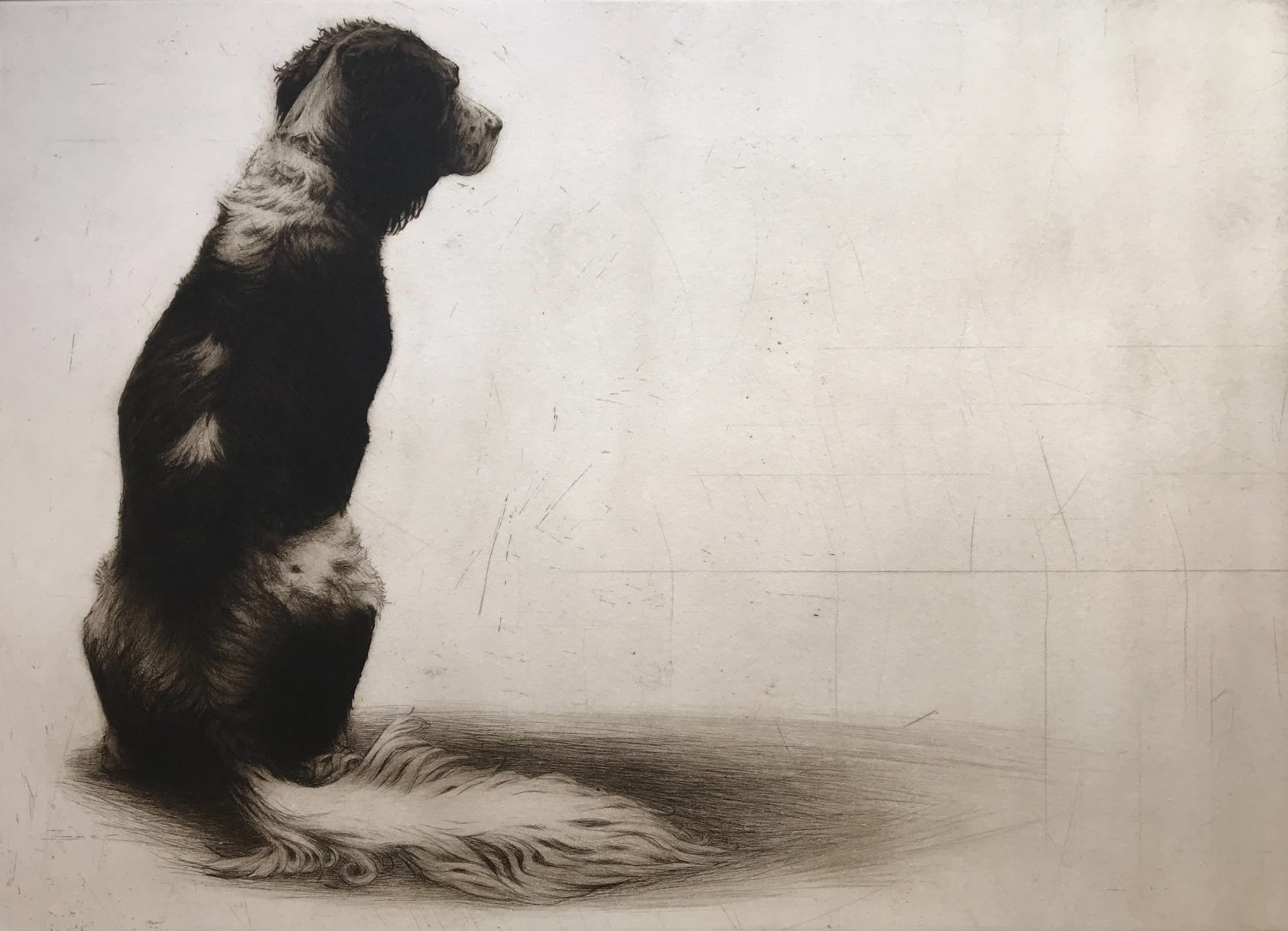 Helen Fay, Phoebe, 2021