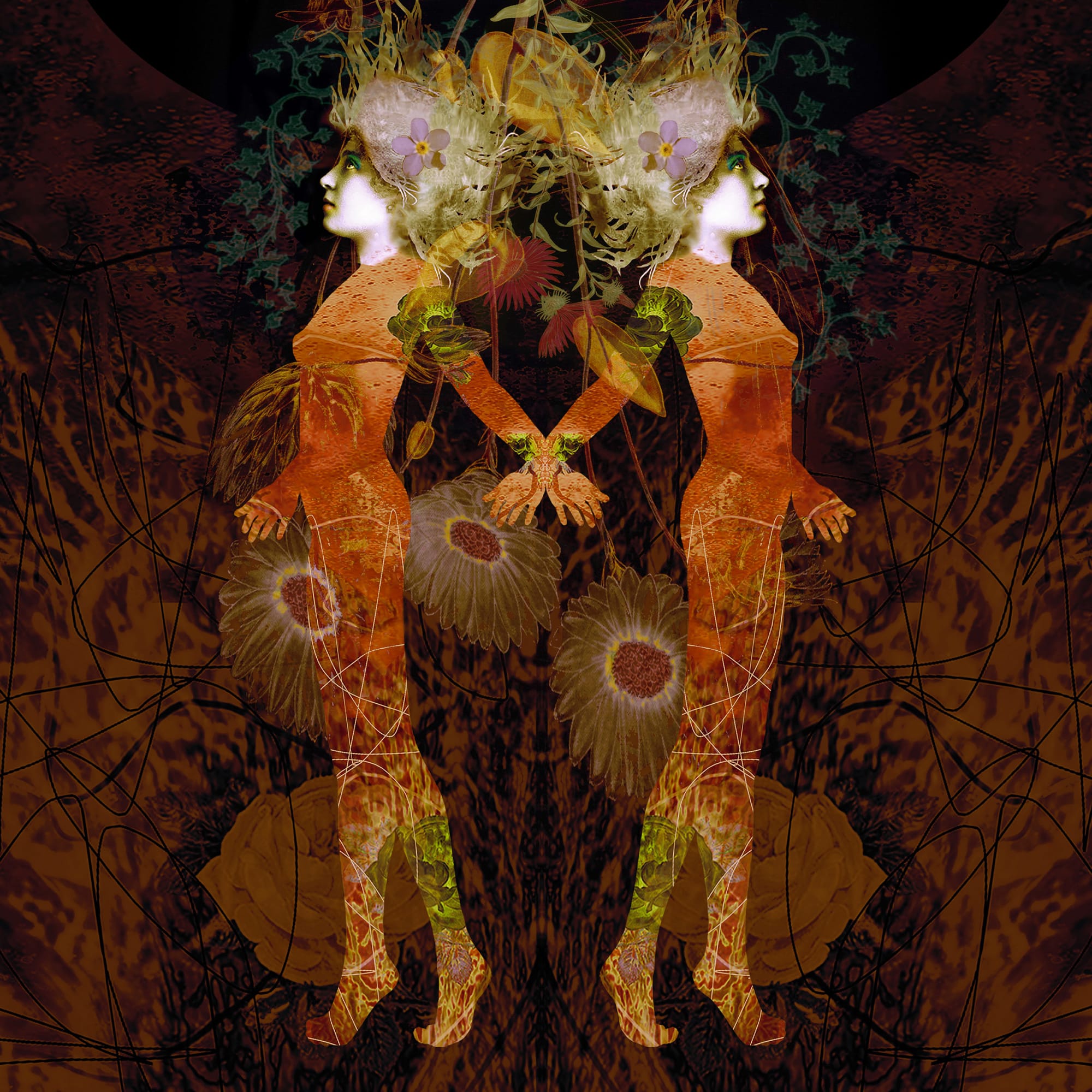 Ashley Cook, Entangled, 2021