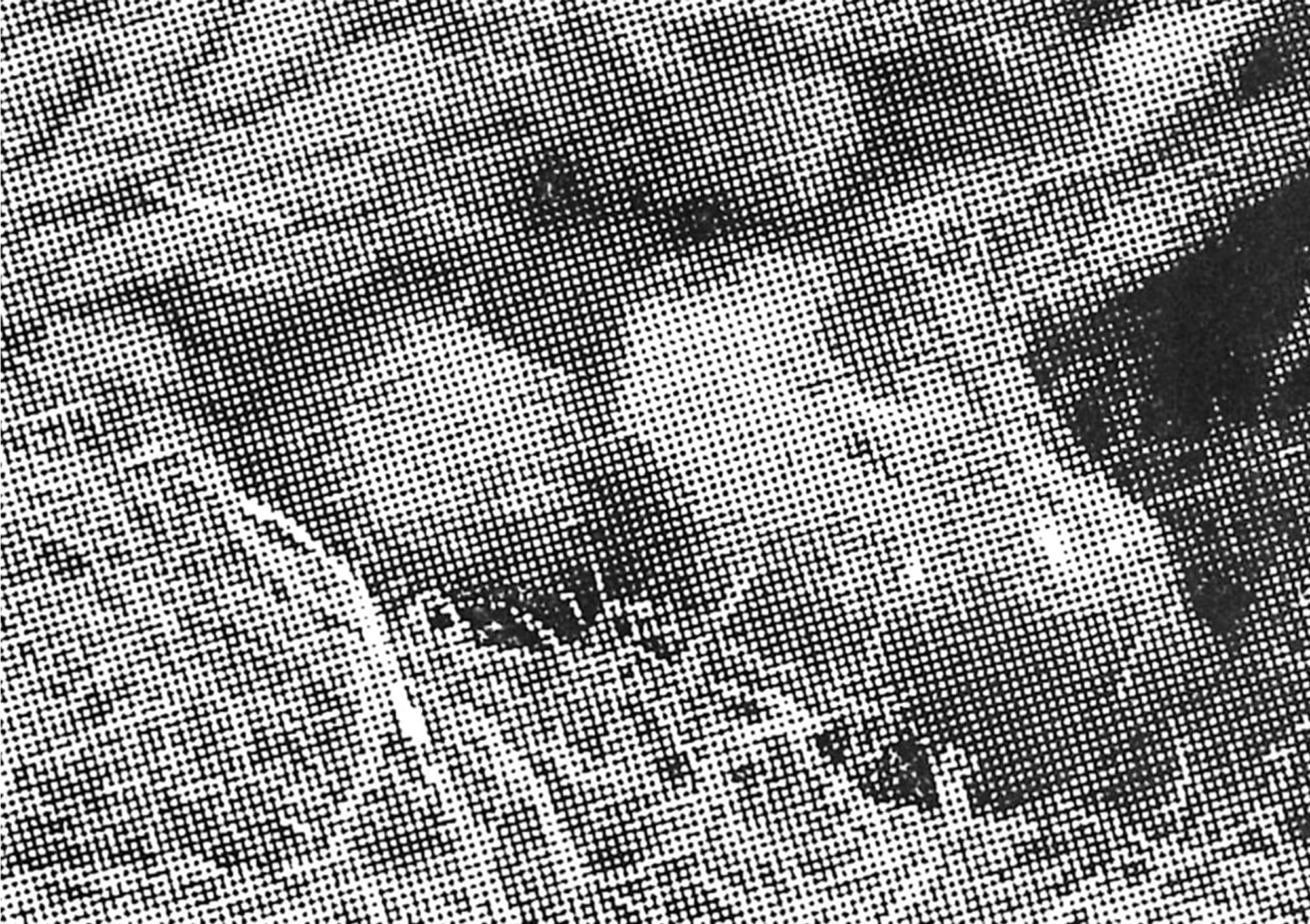 Selcuk Colakoglu, Birth II (through screen), 2022