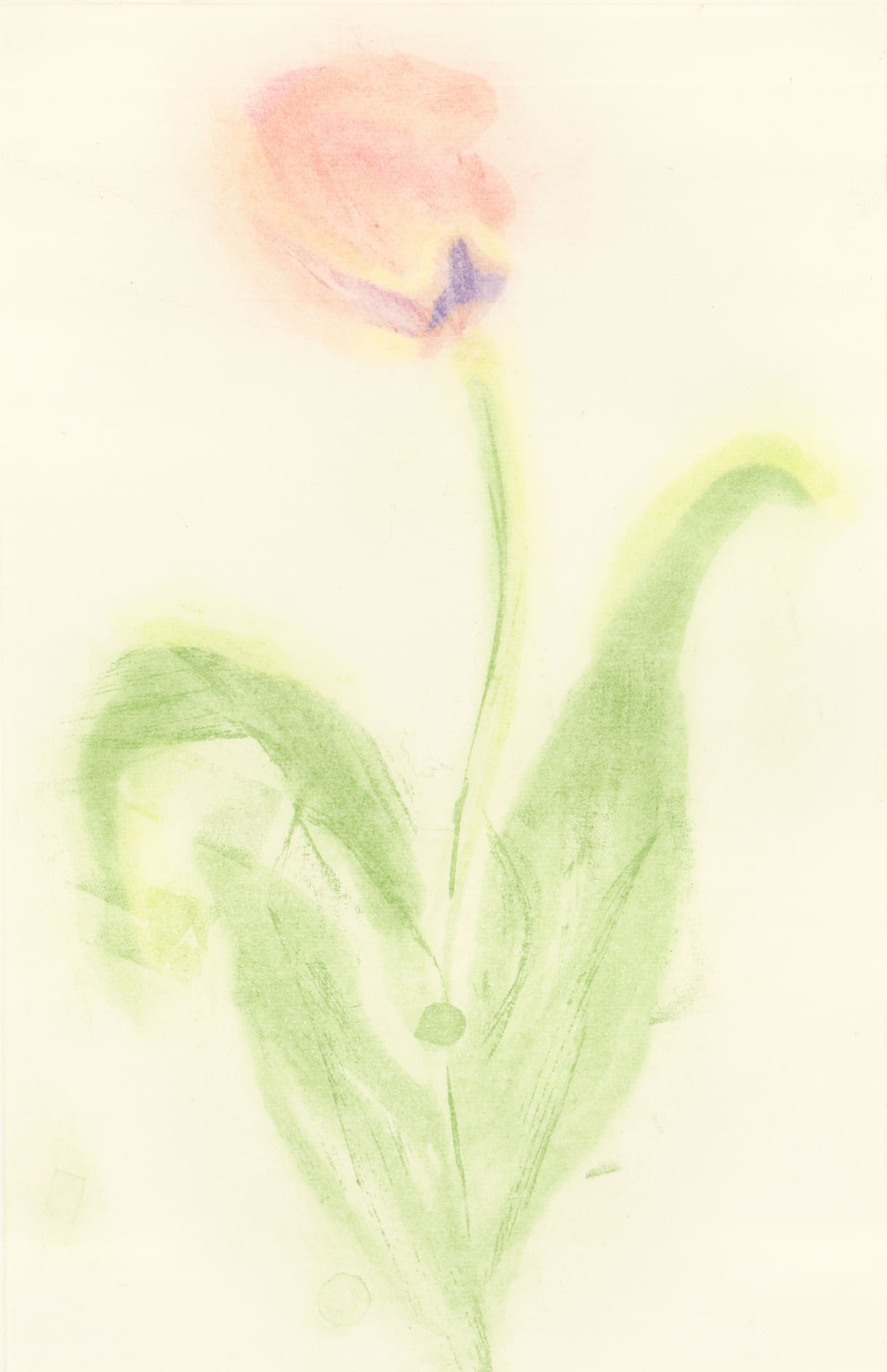 Mary T. Johnson, Tulip in Red with Plastic Recycling, 2025