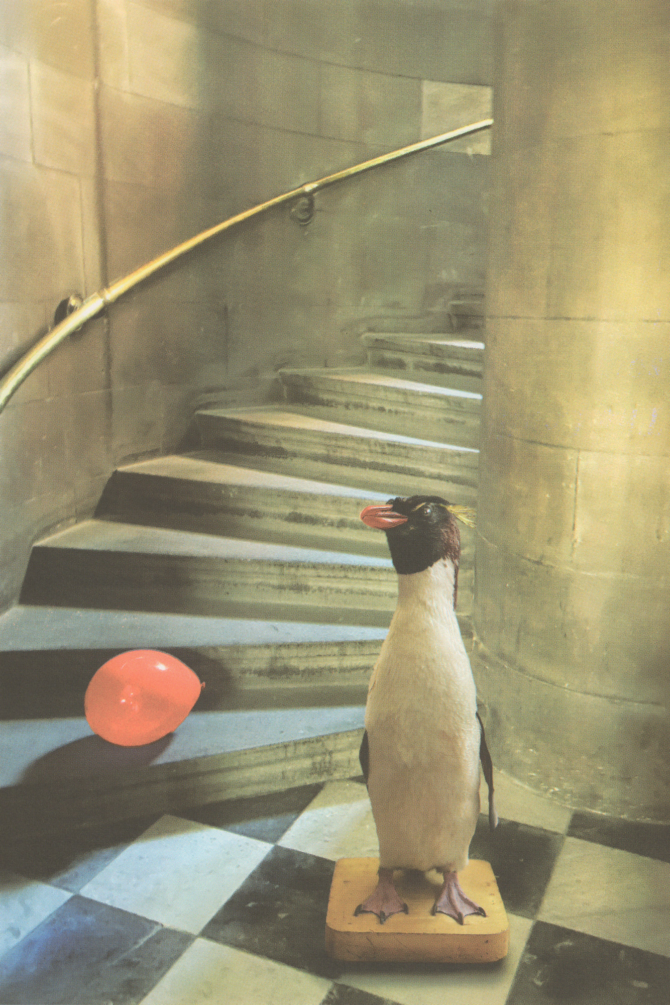 Diane Dawson, Secret Spaces, 2022