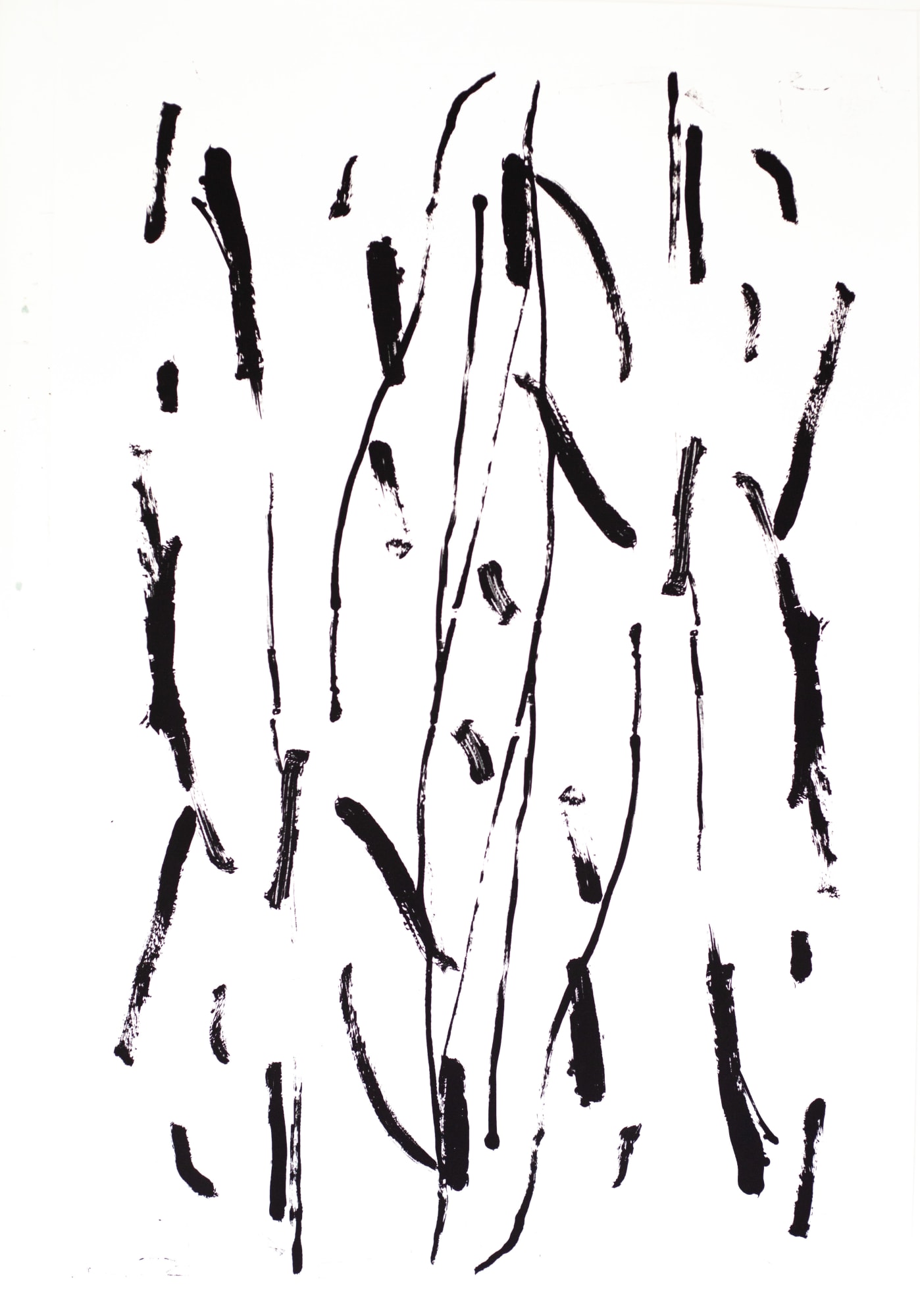 Two-Step: Beth Shapeero & Fraser Taylor, Dash Long Line 10, 2022