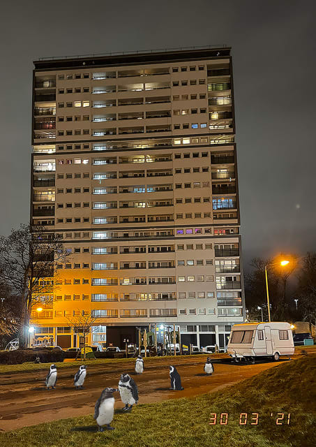 Diane Dawson, Caravan Weather