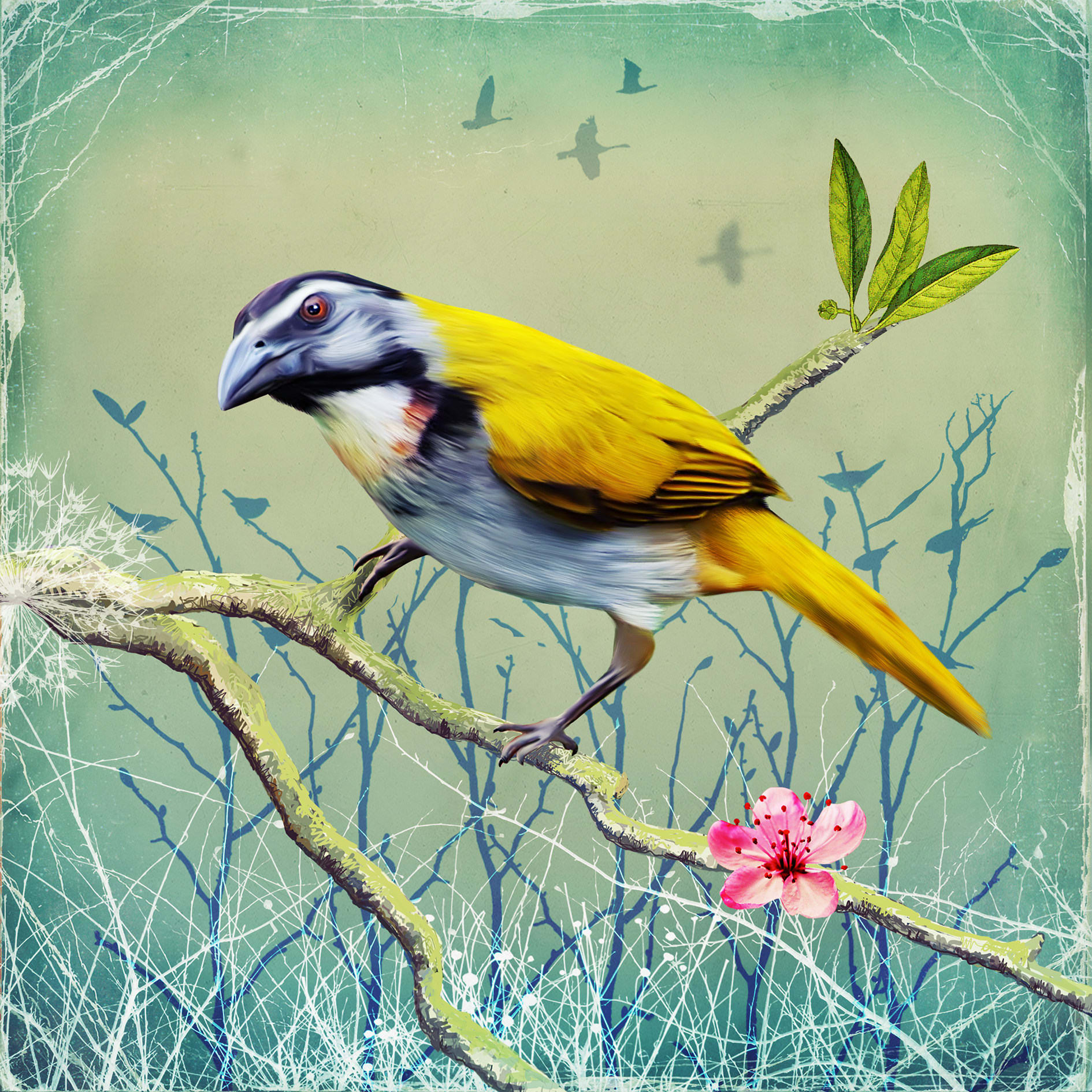 Fiona Watson, I Know That Song, 2023