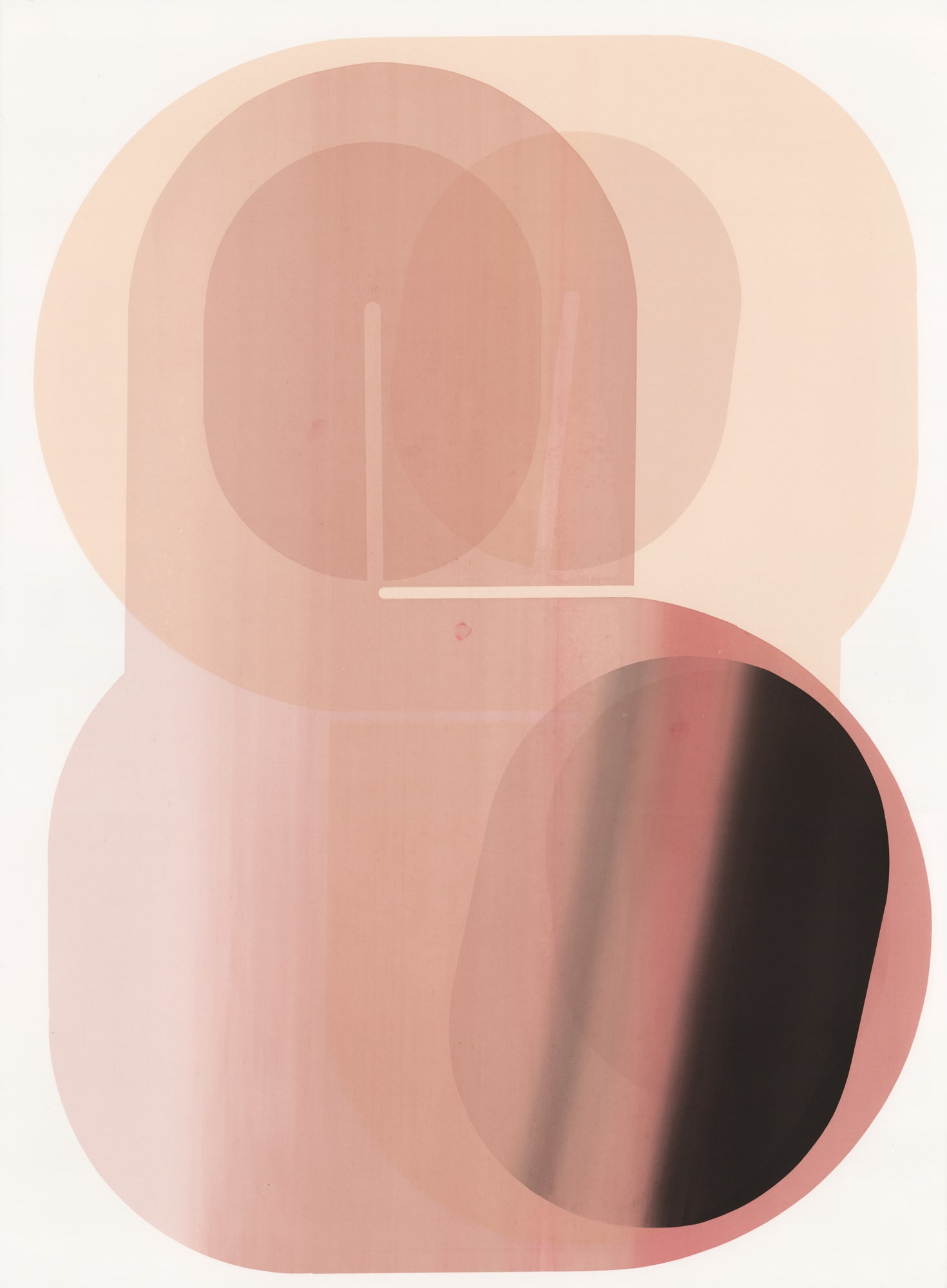 Claire Barclay, Thinskins, 2024-25