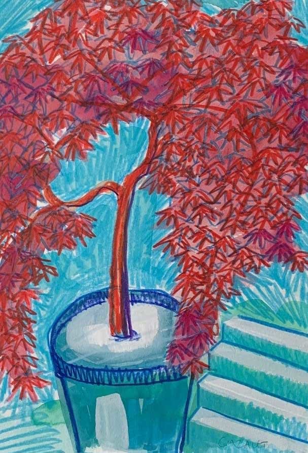 Catherine Cazalet, Red Acer