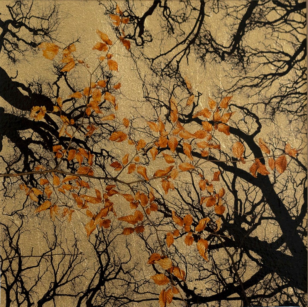 Robert Pereira Hind, Hiems Folia