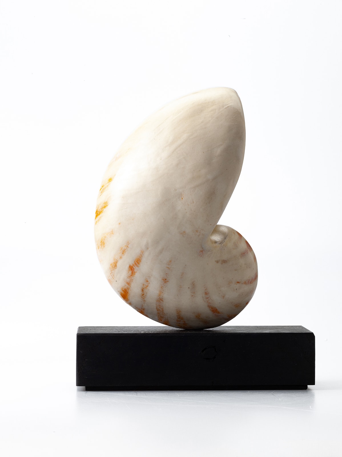 Jennie McCall, Nautilus