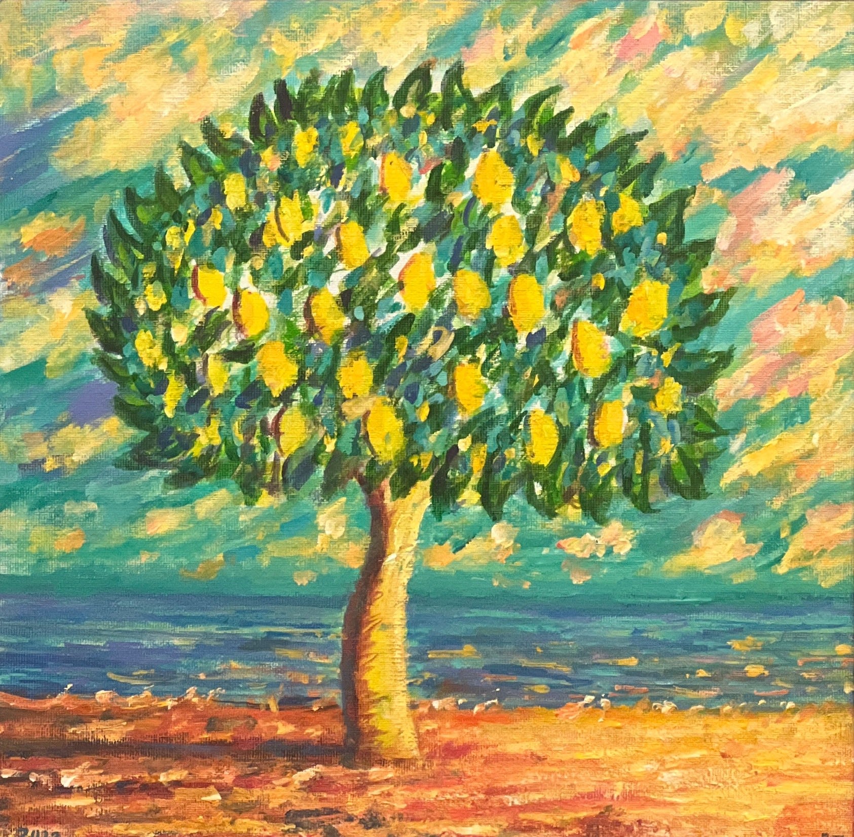 Arran Ross, Piccolo Pomelo