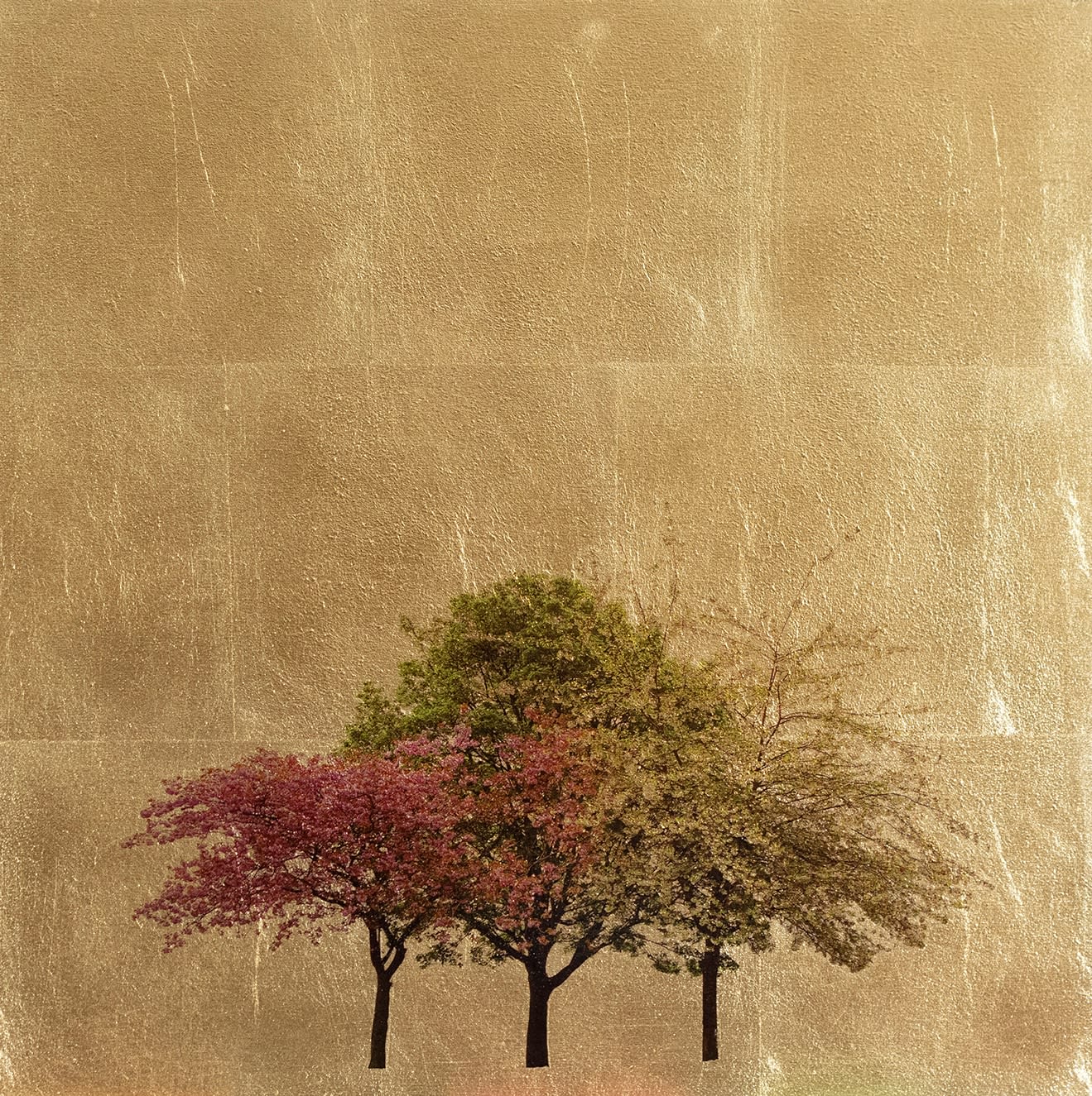 Robert Pereira Hind, Arboretum Spring