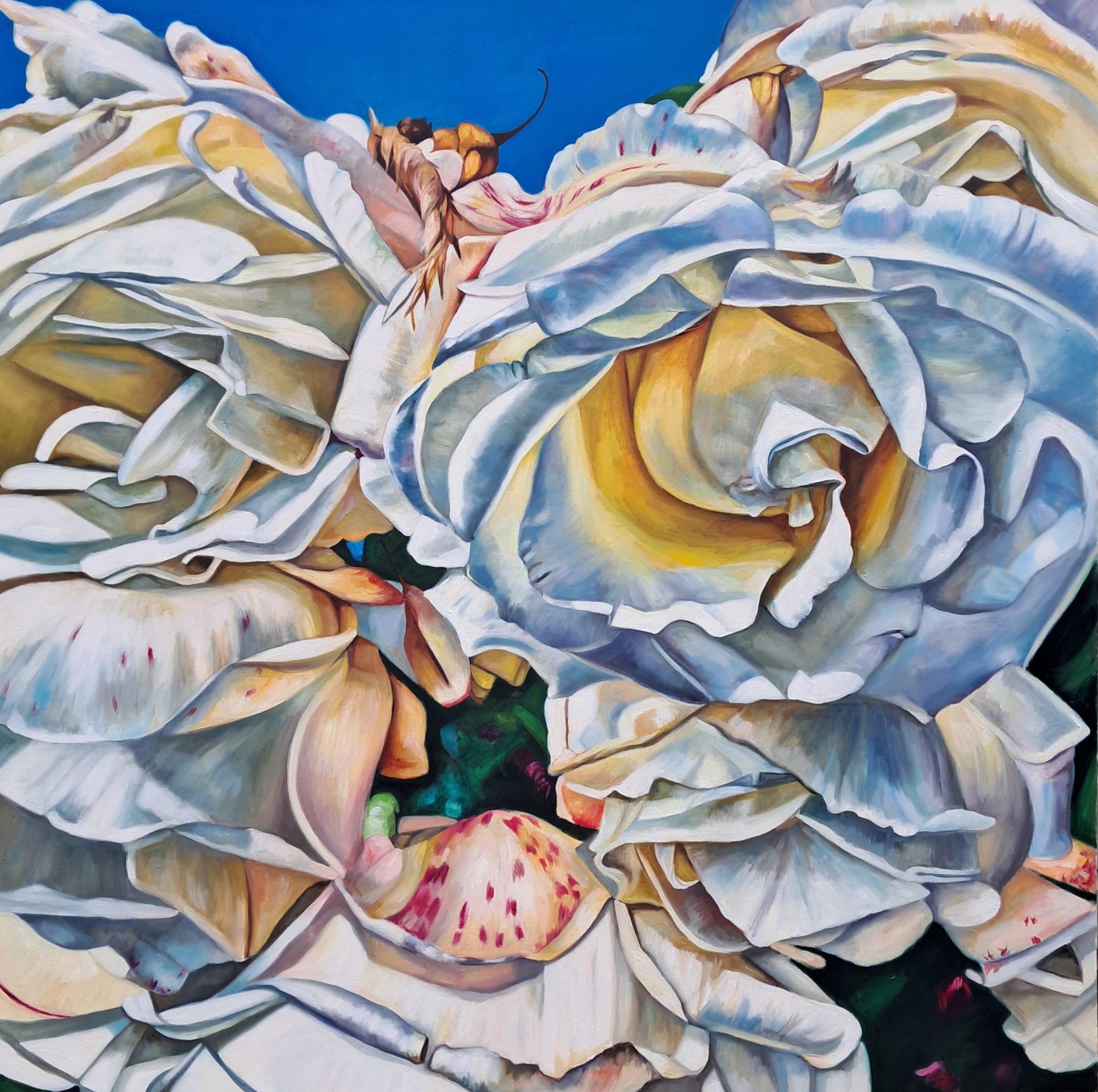 Greer Ralston, Coastal Roses