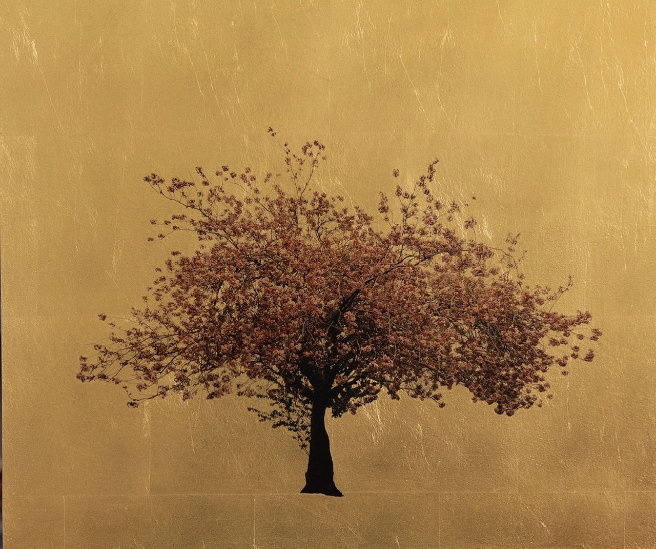 Robert Pereira Hind, Prunus Serrulata XII