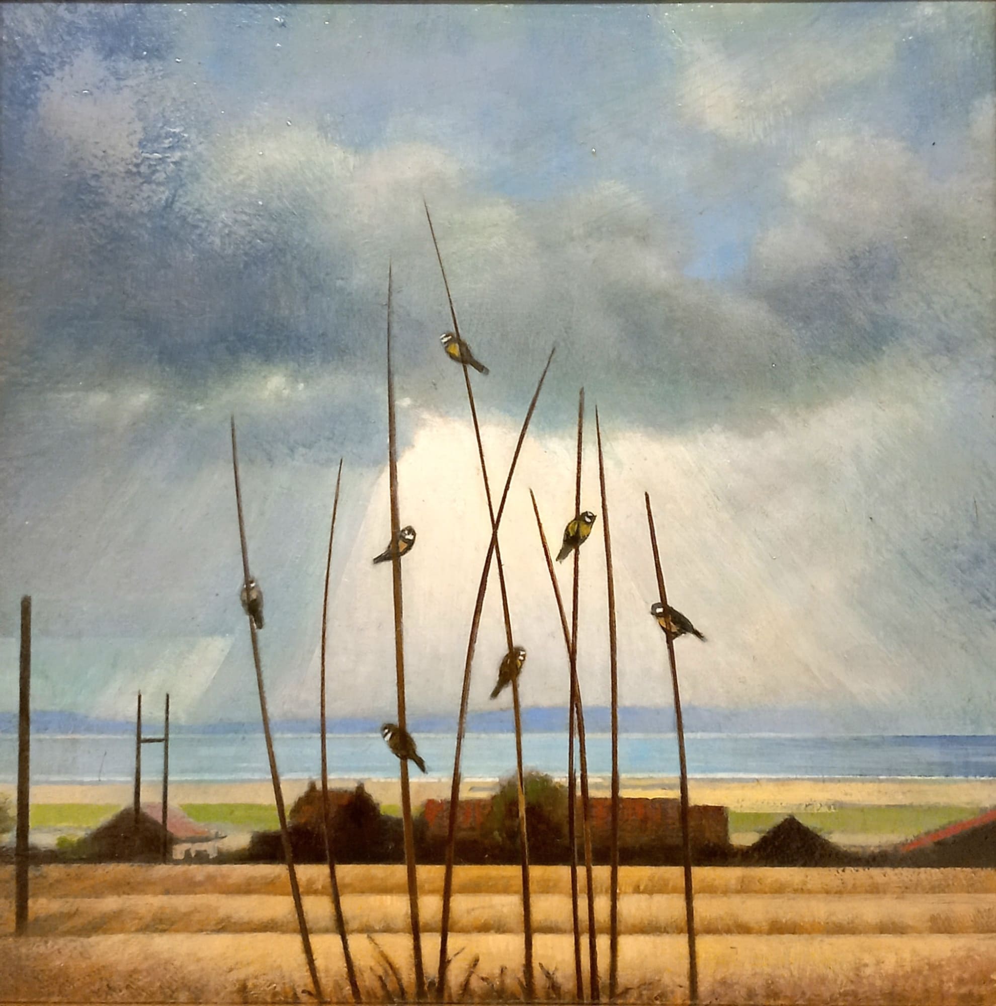 Louis McNally, Free Range