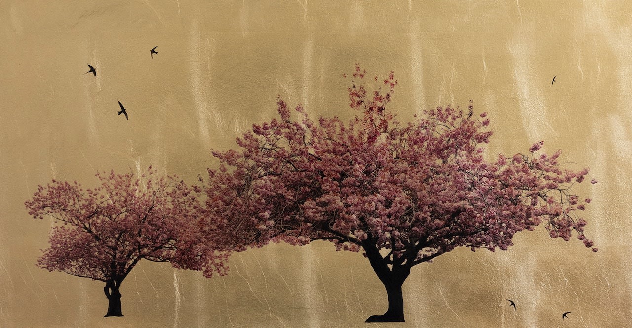 Robert Pereira Hind, Prunus Serrulata In Excelsis XIV