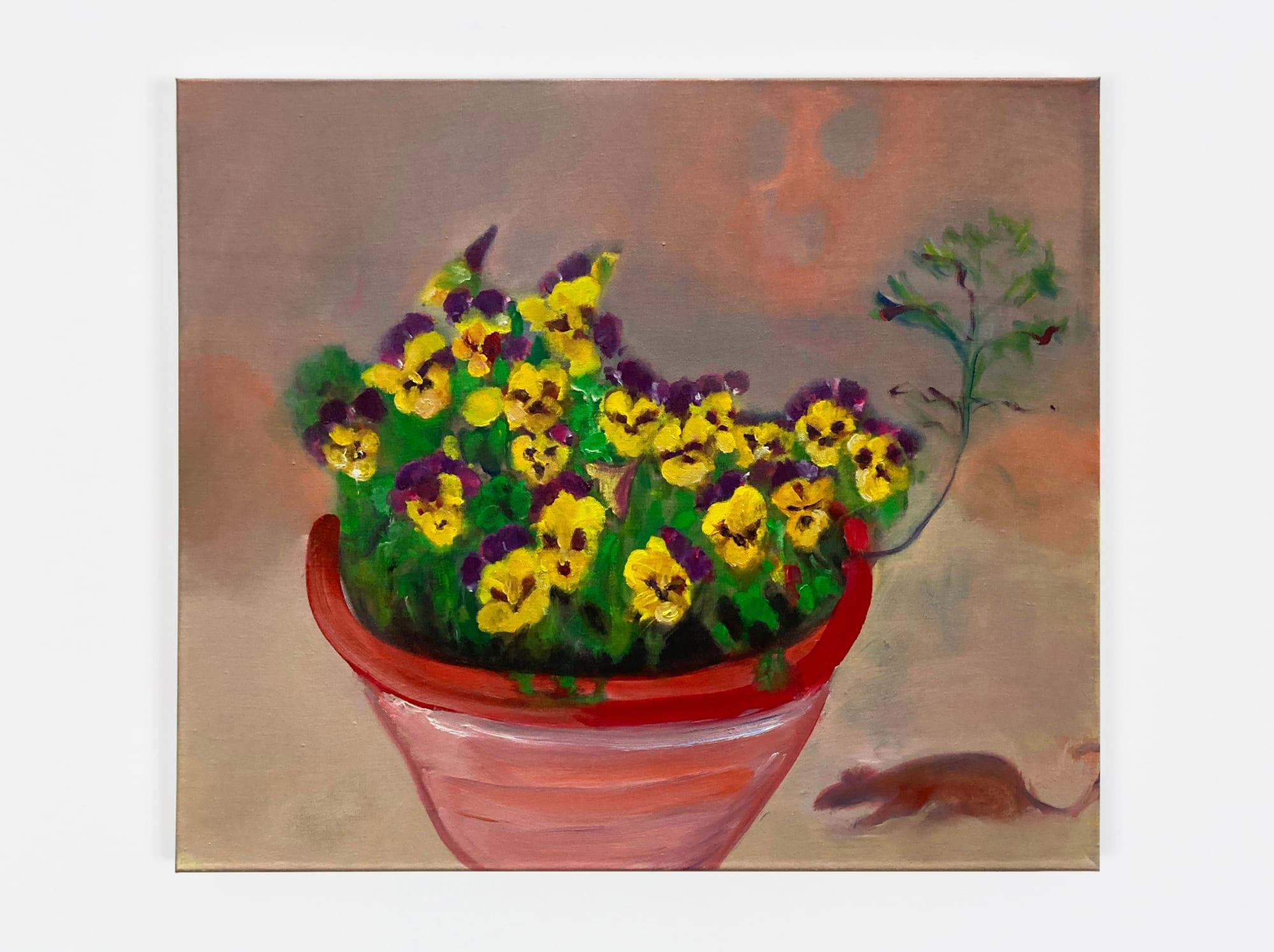 Rosalind Nashashibi, To be titled, 2021