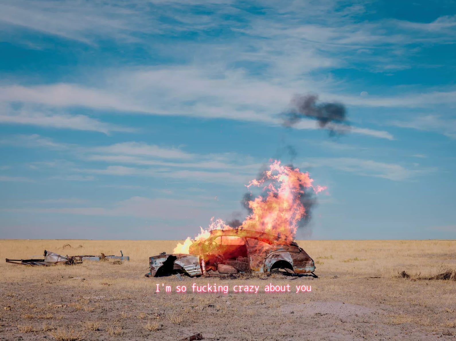 Jeffrey Czum, Crazy, 2025