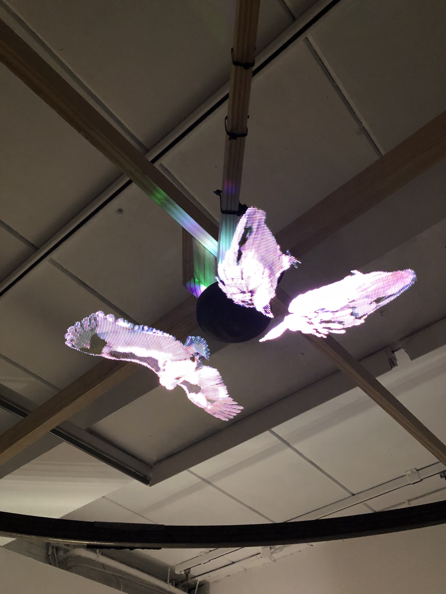 Haseeb Ahmed, Holographic Sparta, 2019