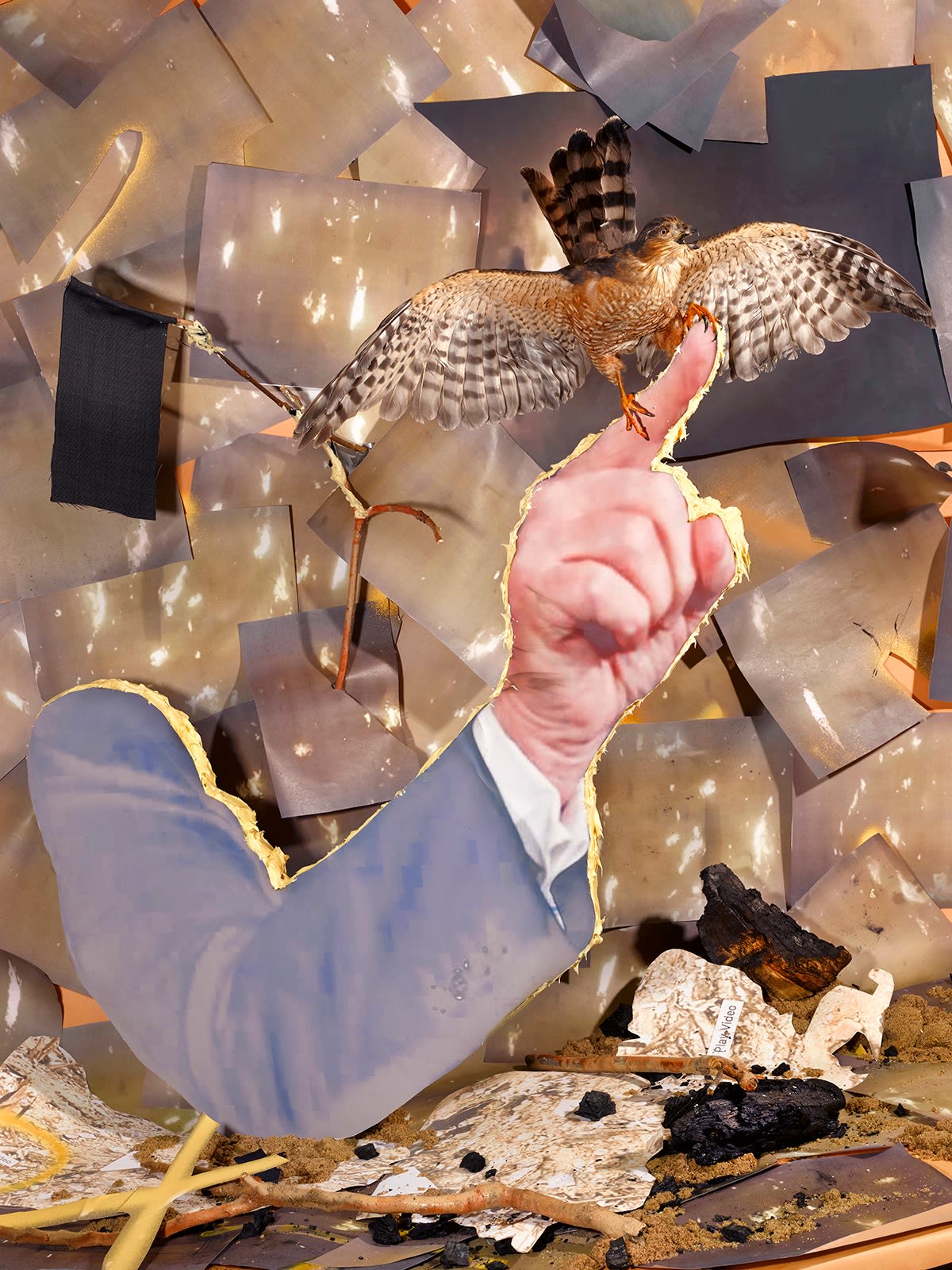 Sheida Soleimani, 1/8/2020, 2020