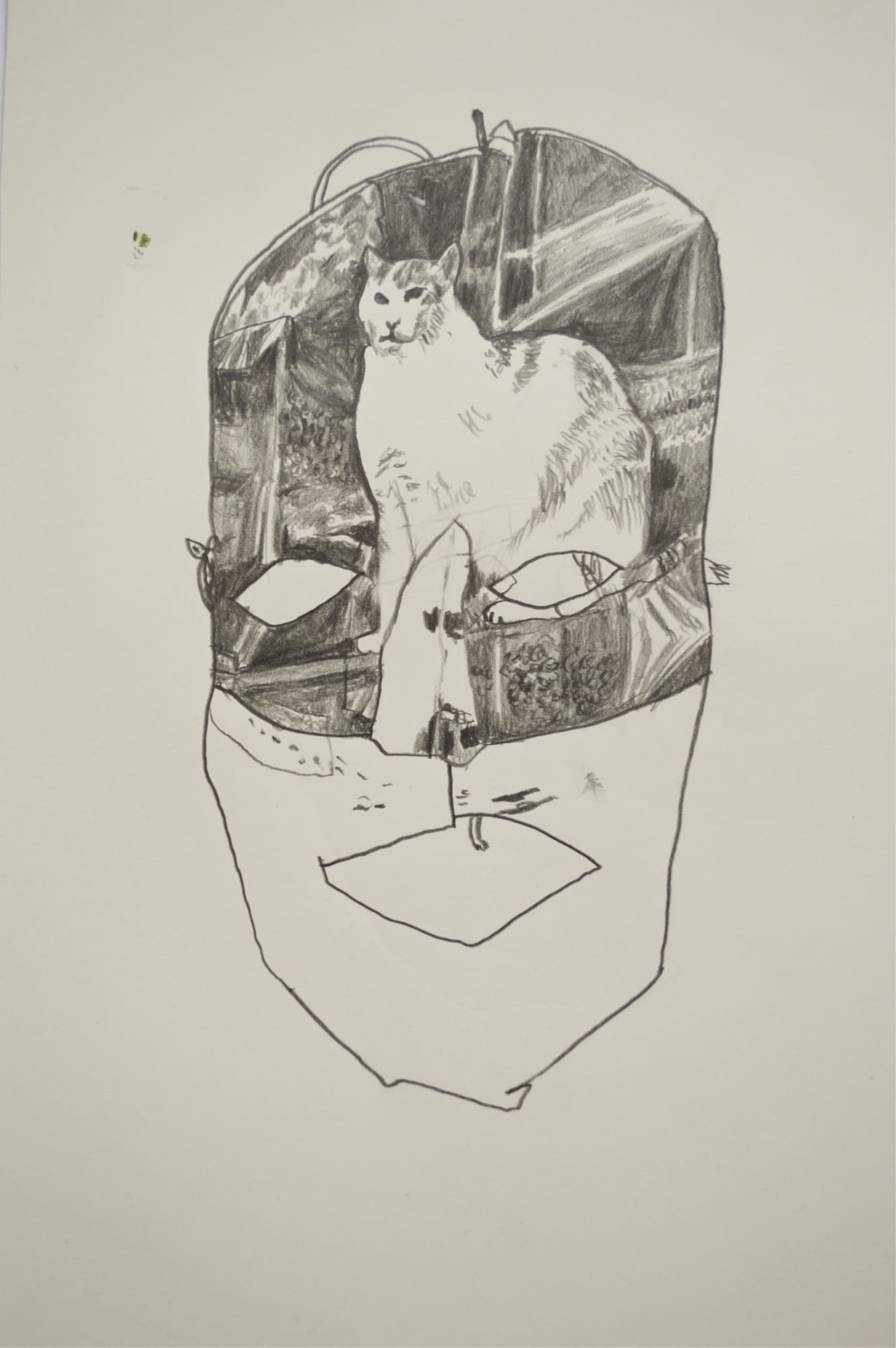 Olivier Cans, masque en photographie argentique, 2020