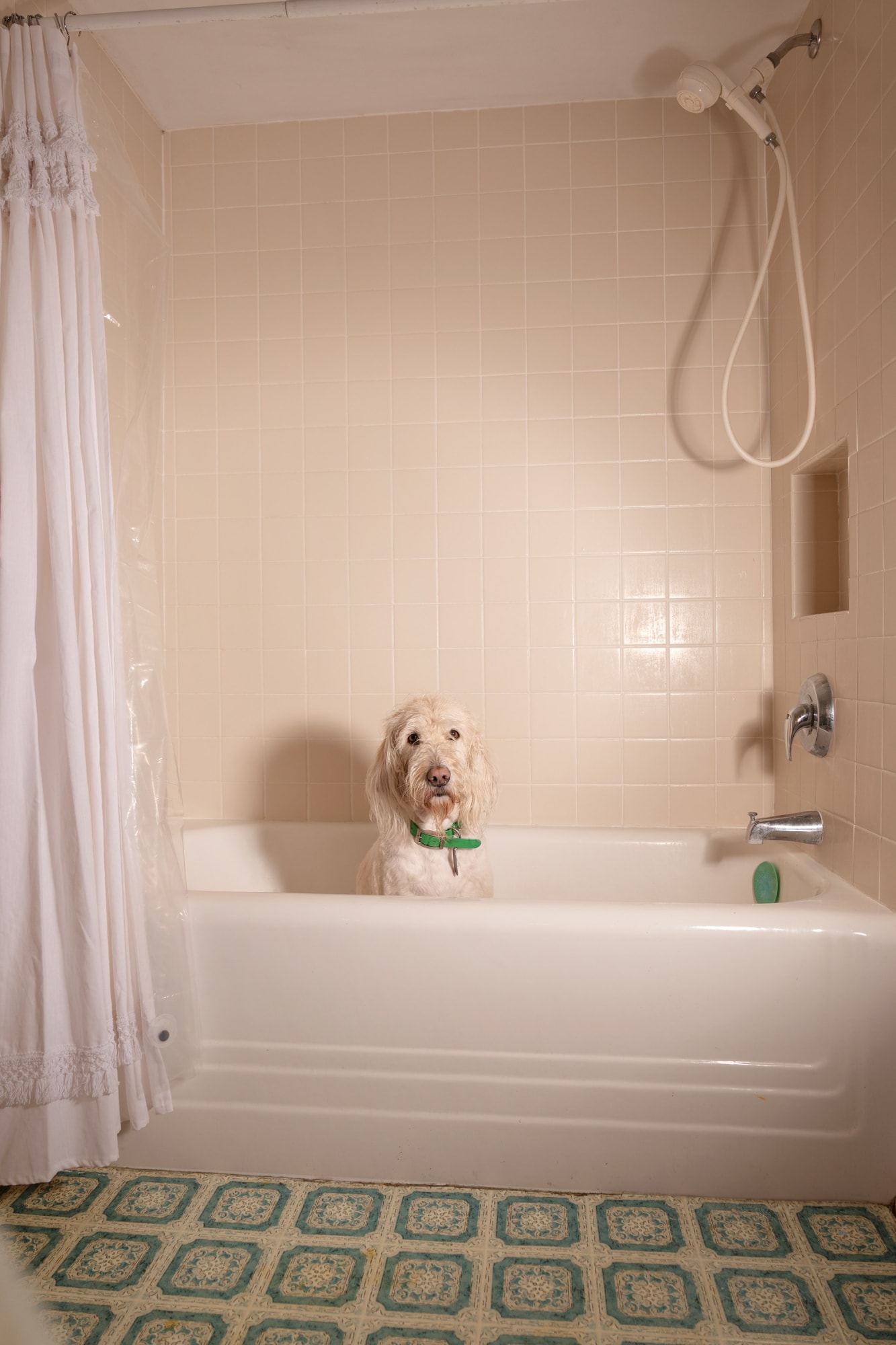 Eva O'Leary, EO_005, 2020