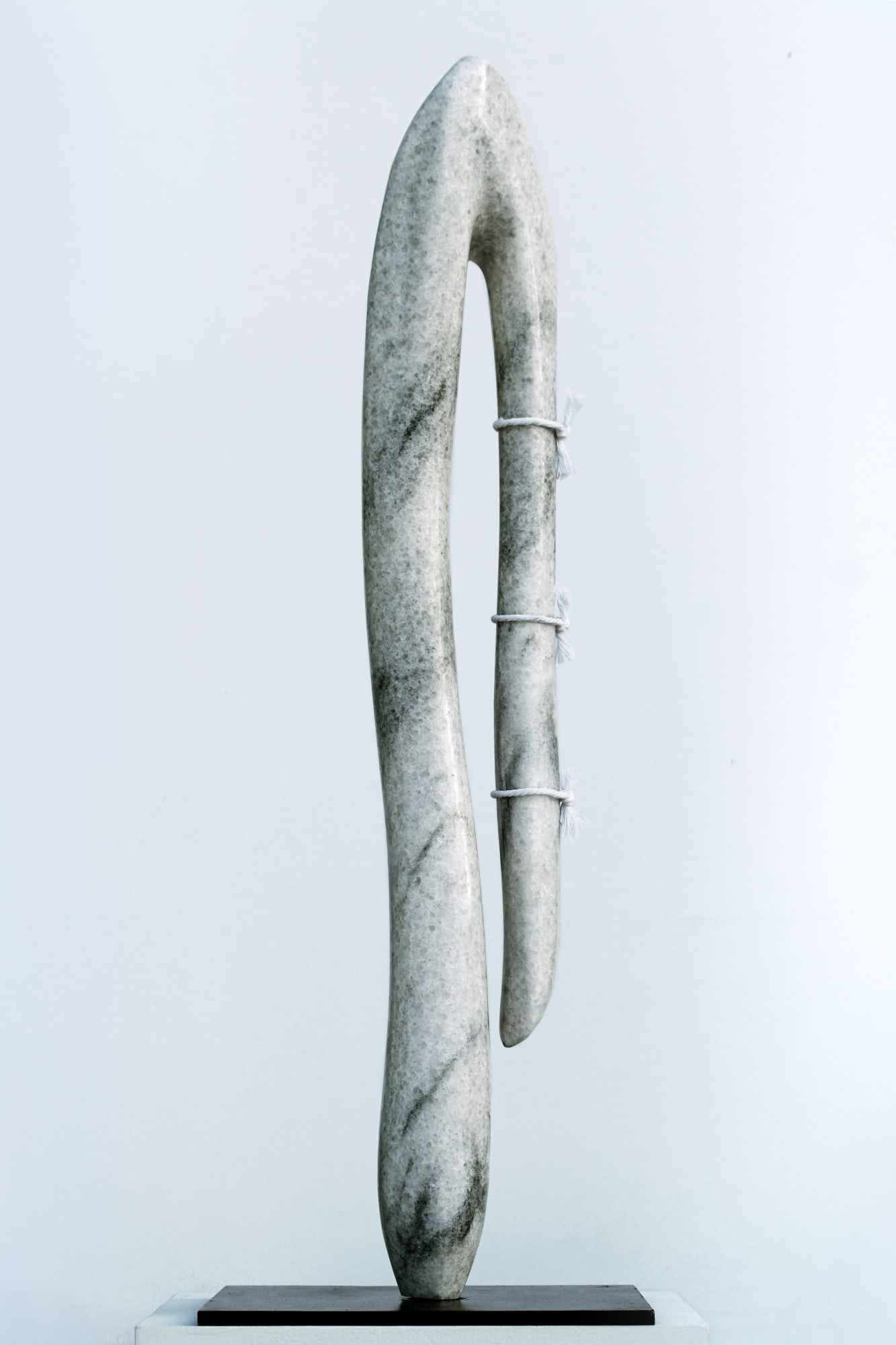 Virginia Lee Montgomery, Epona, 2020