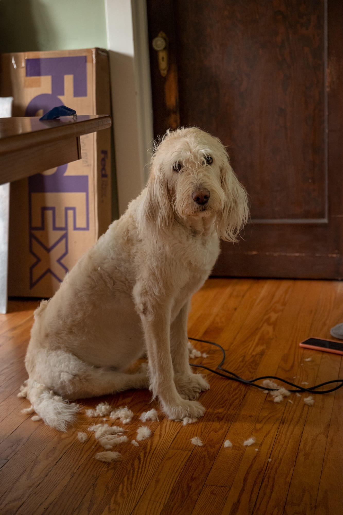 Eva O'Leary, EO_031, 2020