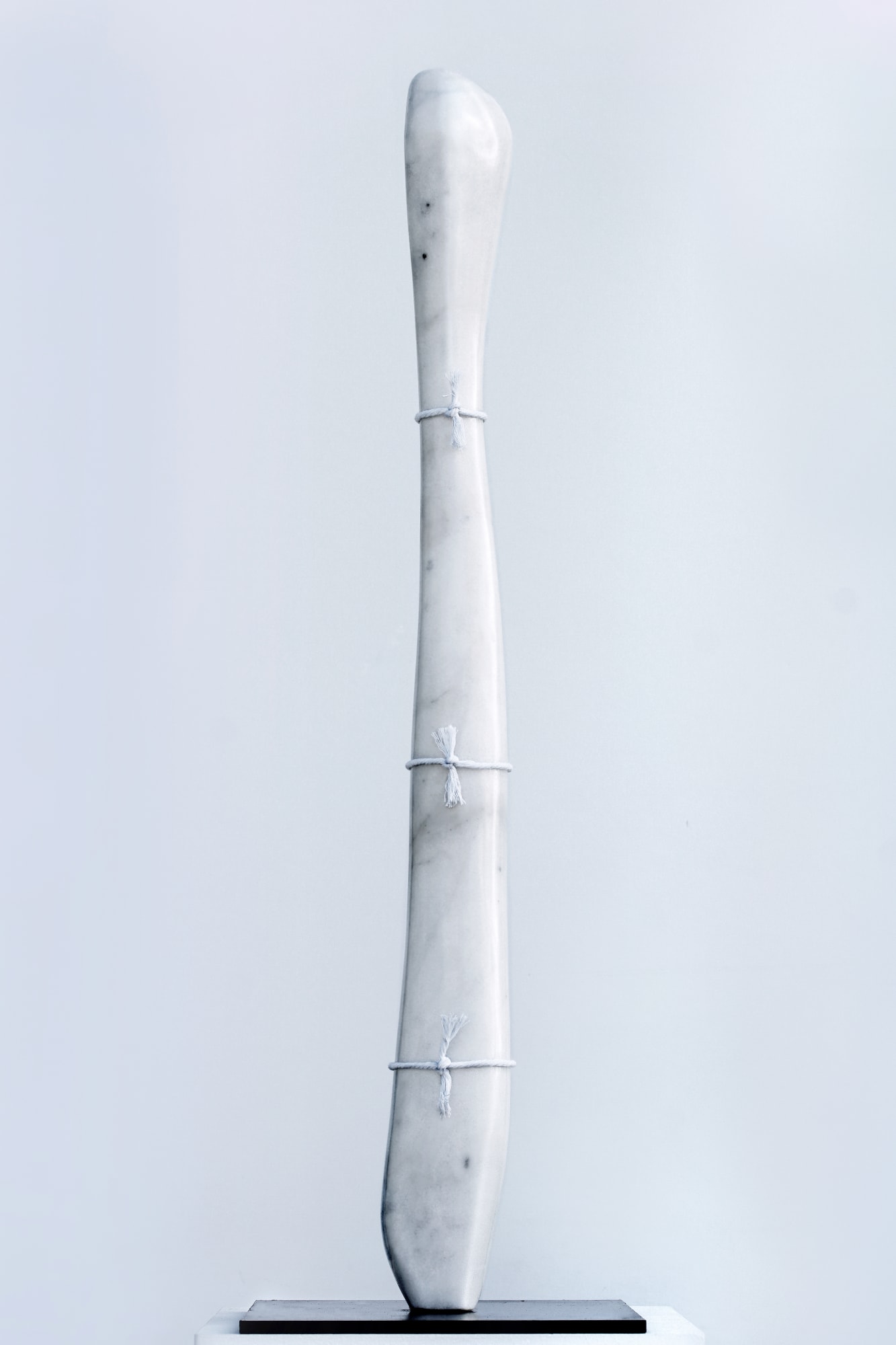 Virginia Lee Montgomery, Medusa, 2020