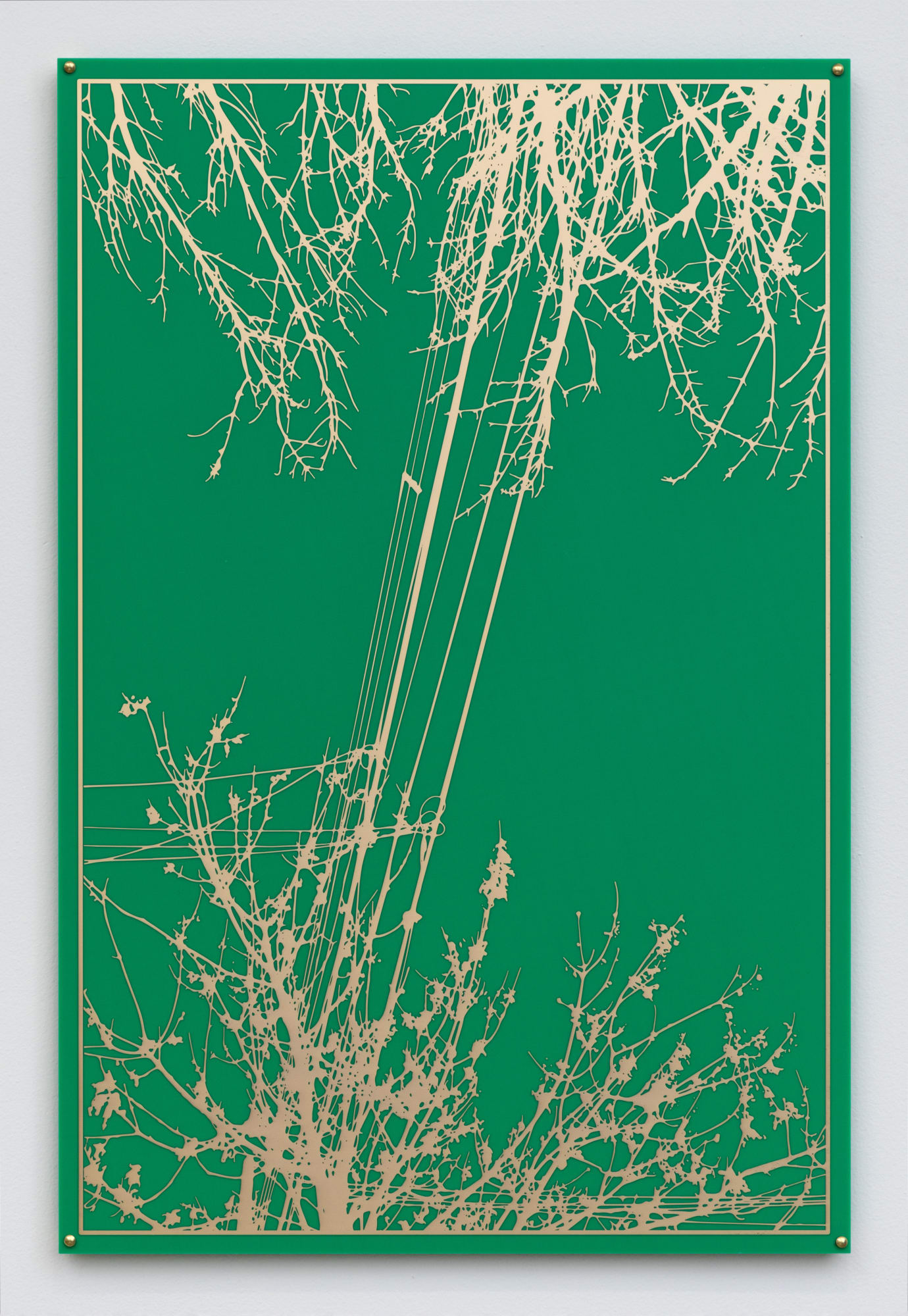 Kristyna and Marek Milde, Motherboard #52323, 2023