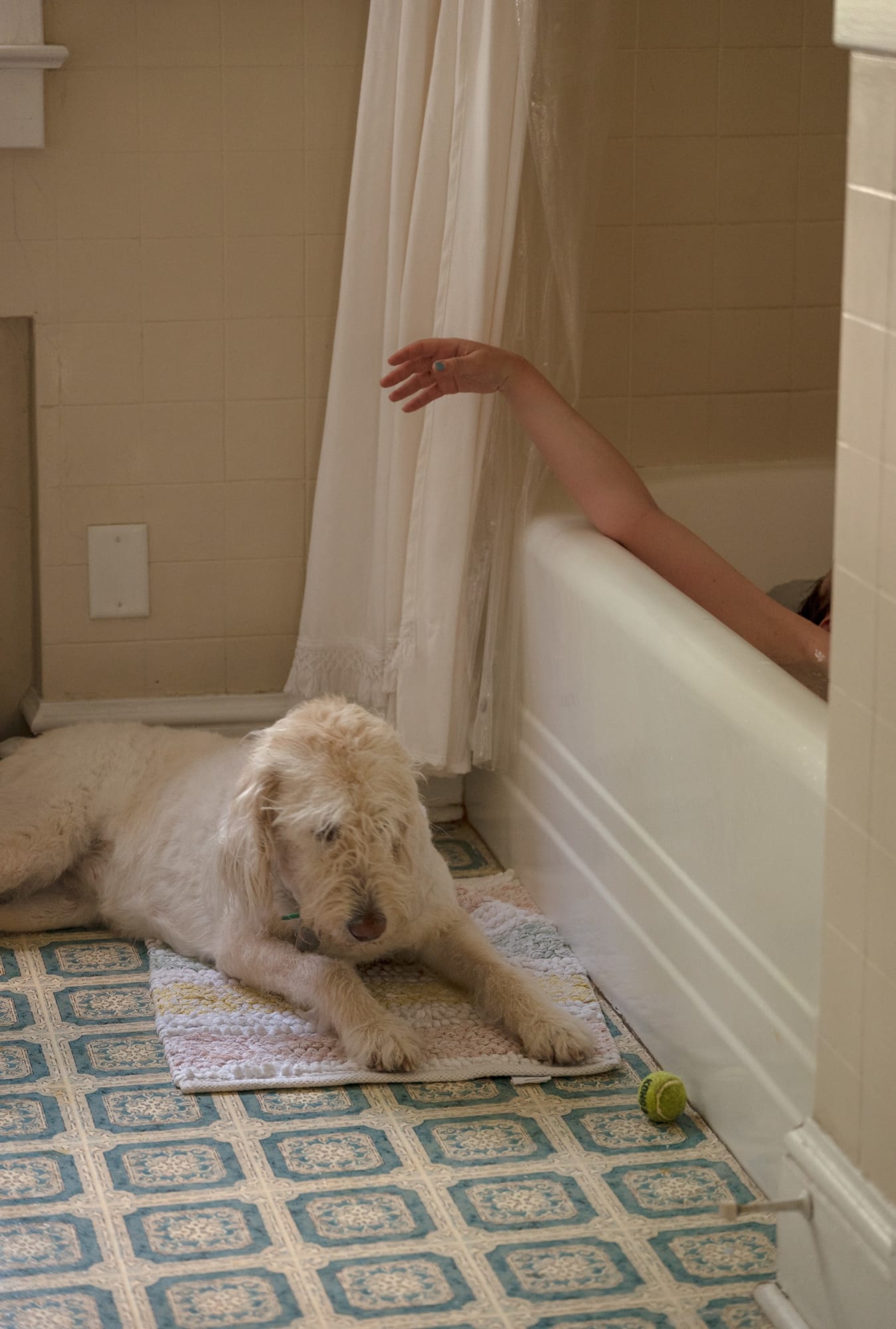 Eva O'Leary, EO_065, 2020