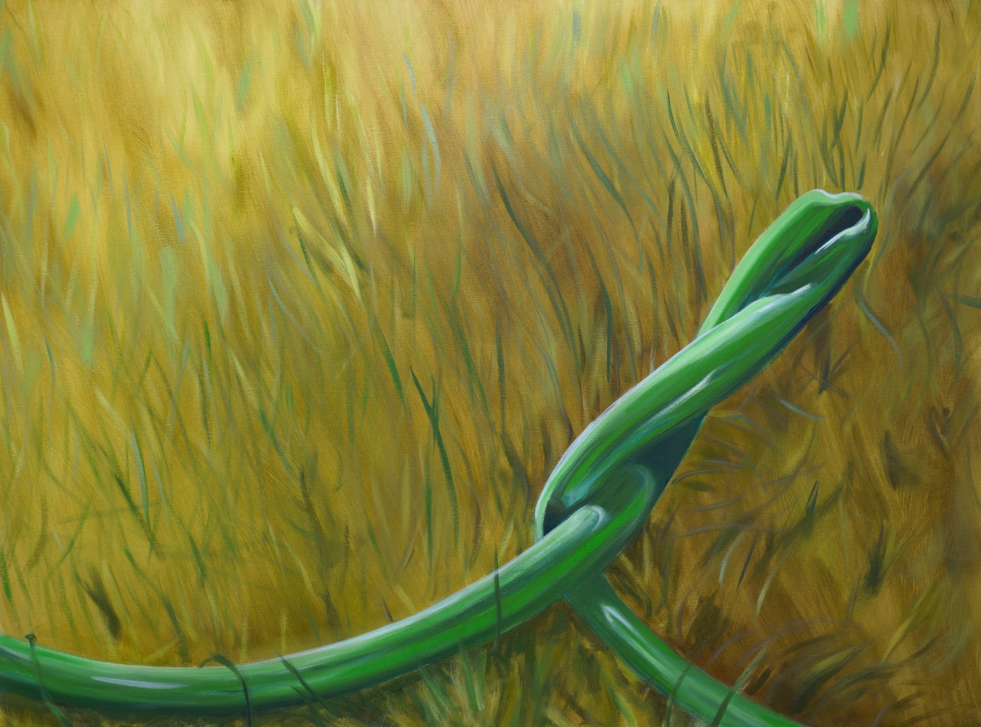 Aglaé Bassens, Bursting, 2021