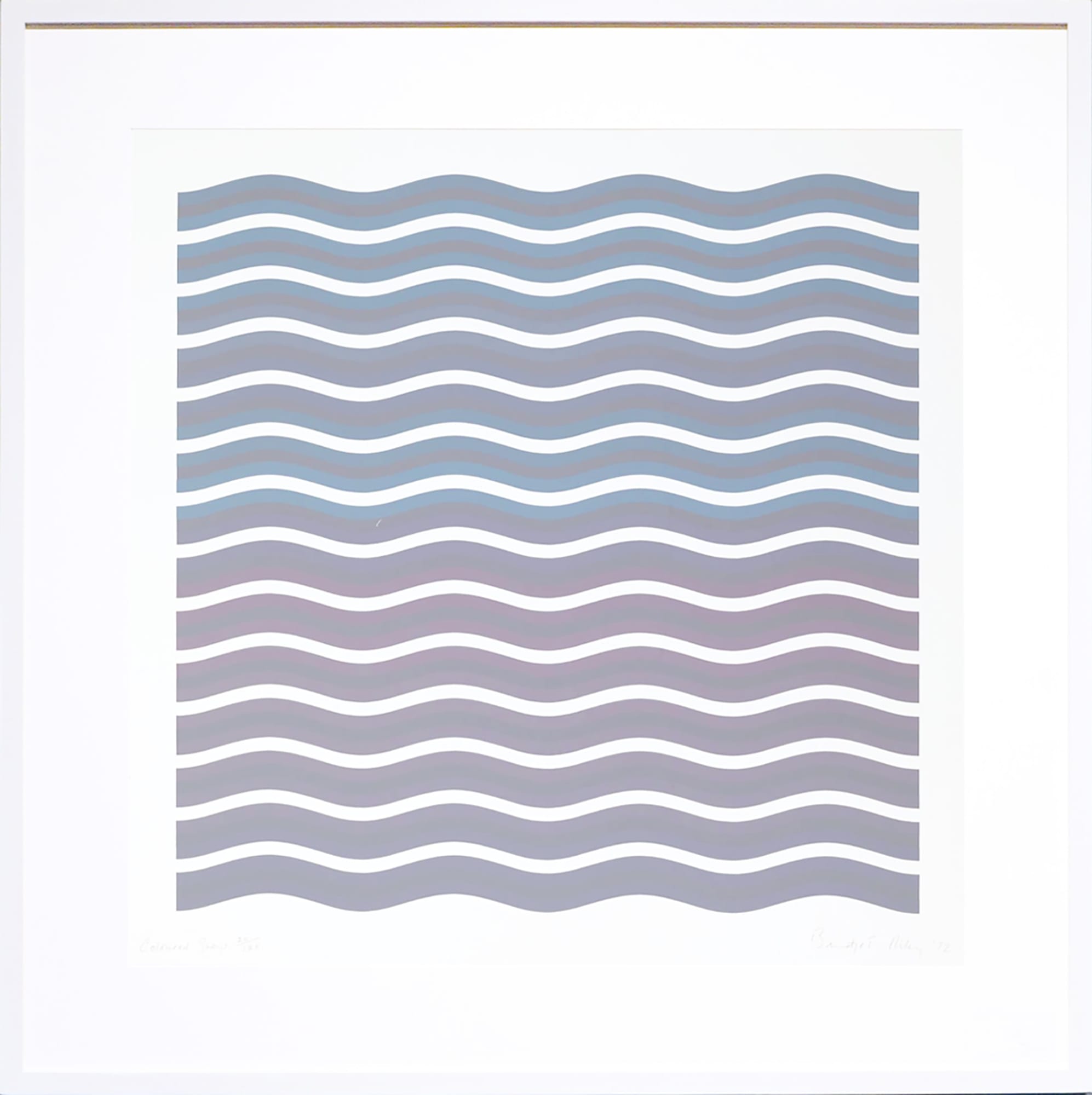 Bridget Riley, Coloured Greys II, 1972