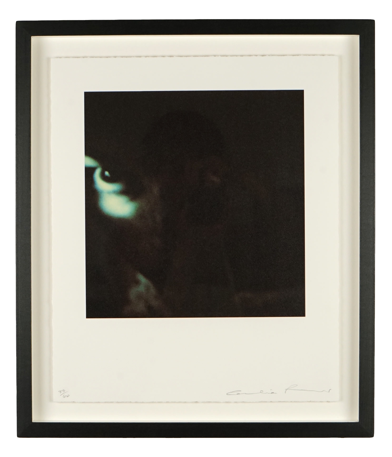 Cornelia Parker, The Blue Room, 2008