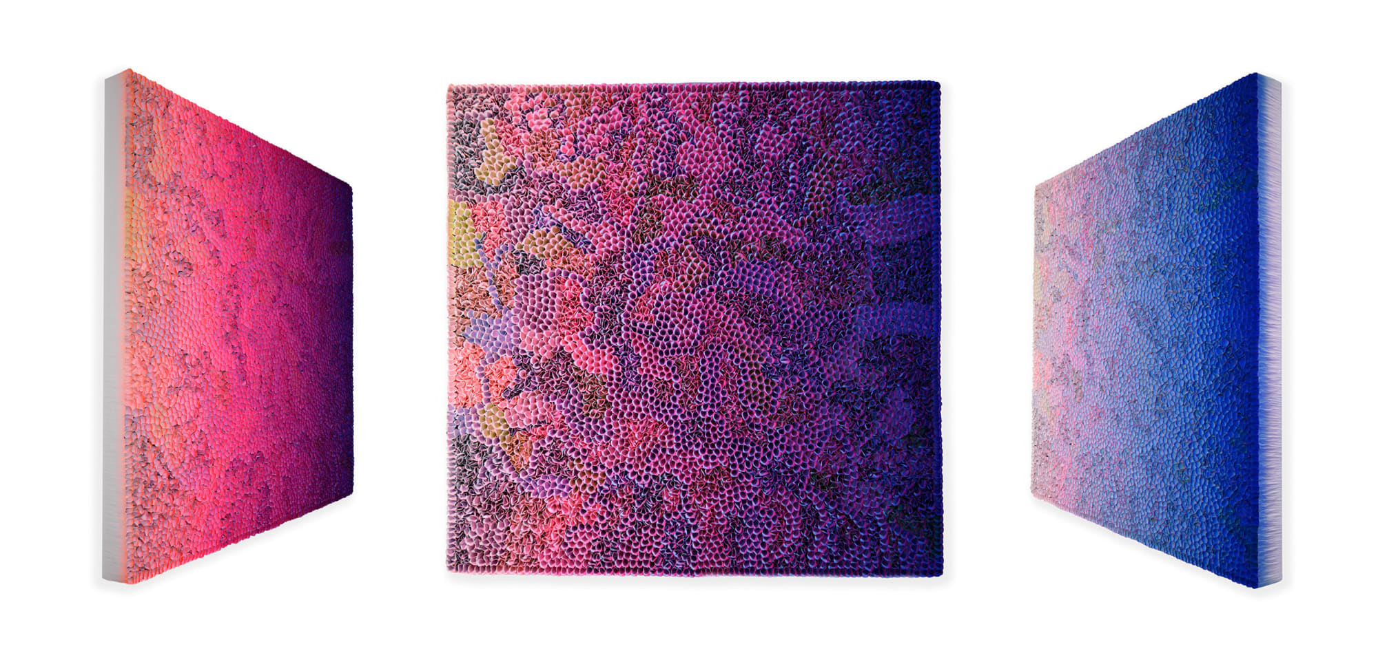 Zhuang Hong Yi, Perenial, 2022