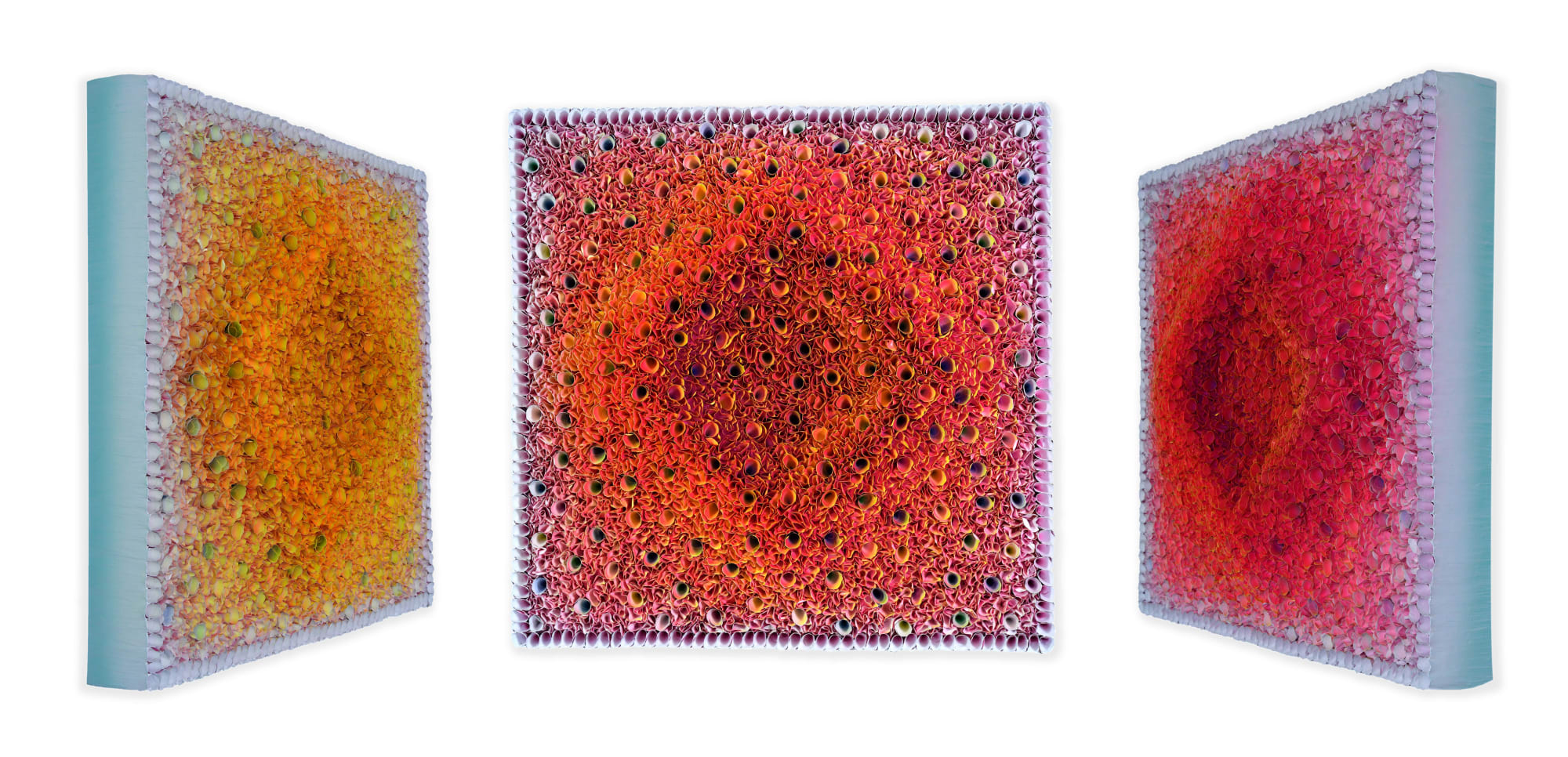 Zhuang Hong Yi, Dew-kissed Luminance, 2024