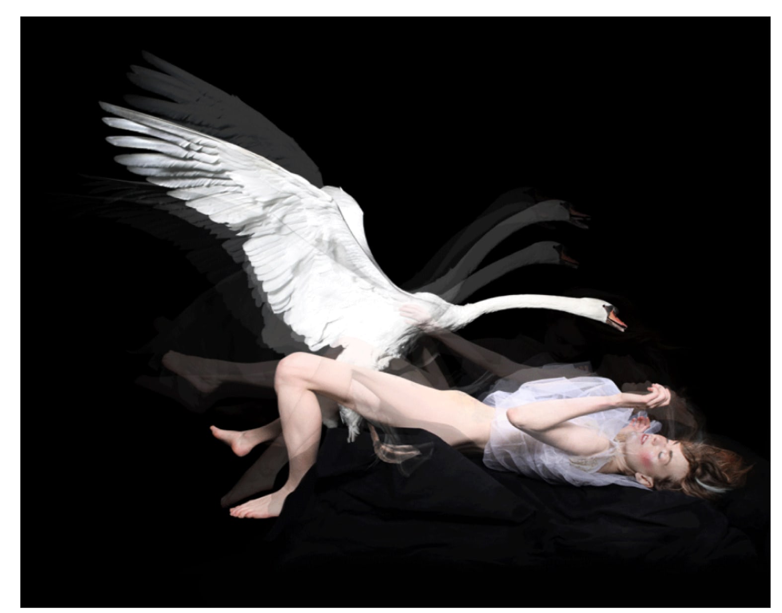 Derrick Santini, Loves Dream, 2016