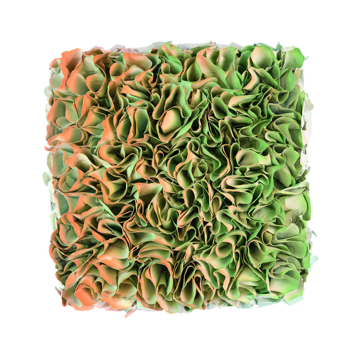 Zhuang Hong Yi, Sunshine, 2021