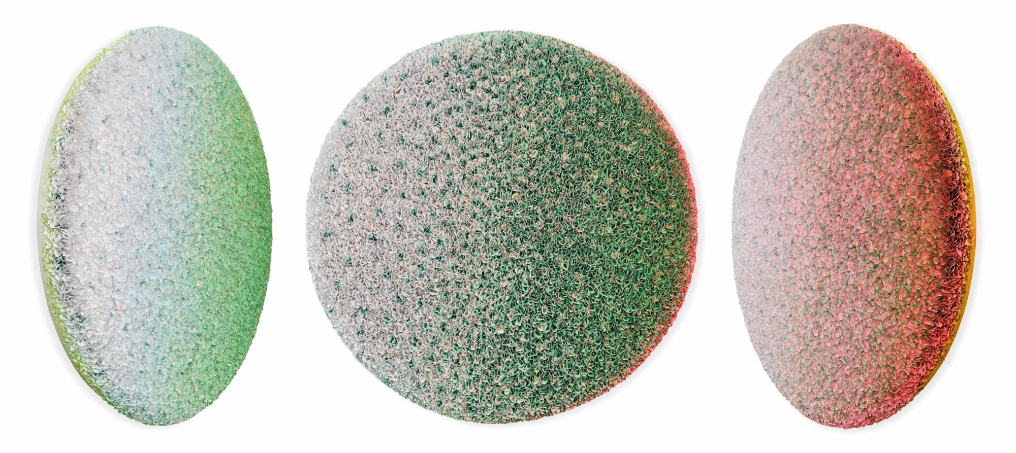 Zhuang Hong Yi, Lunar Eclipse, 2024