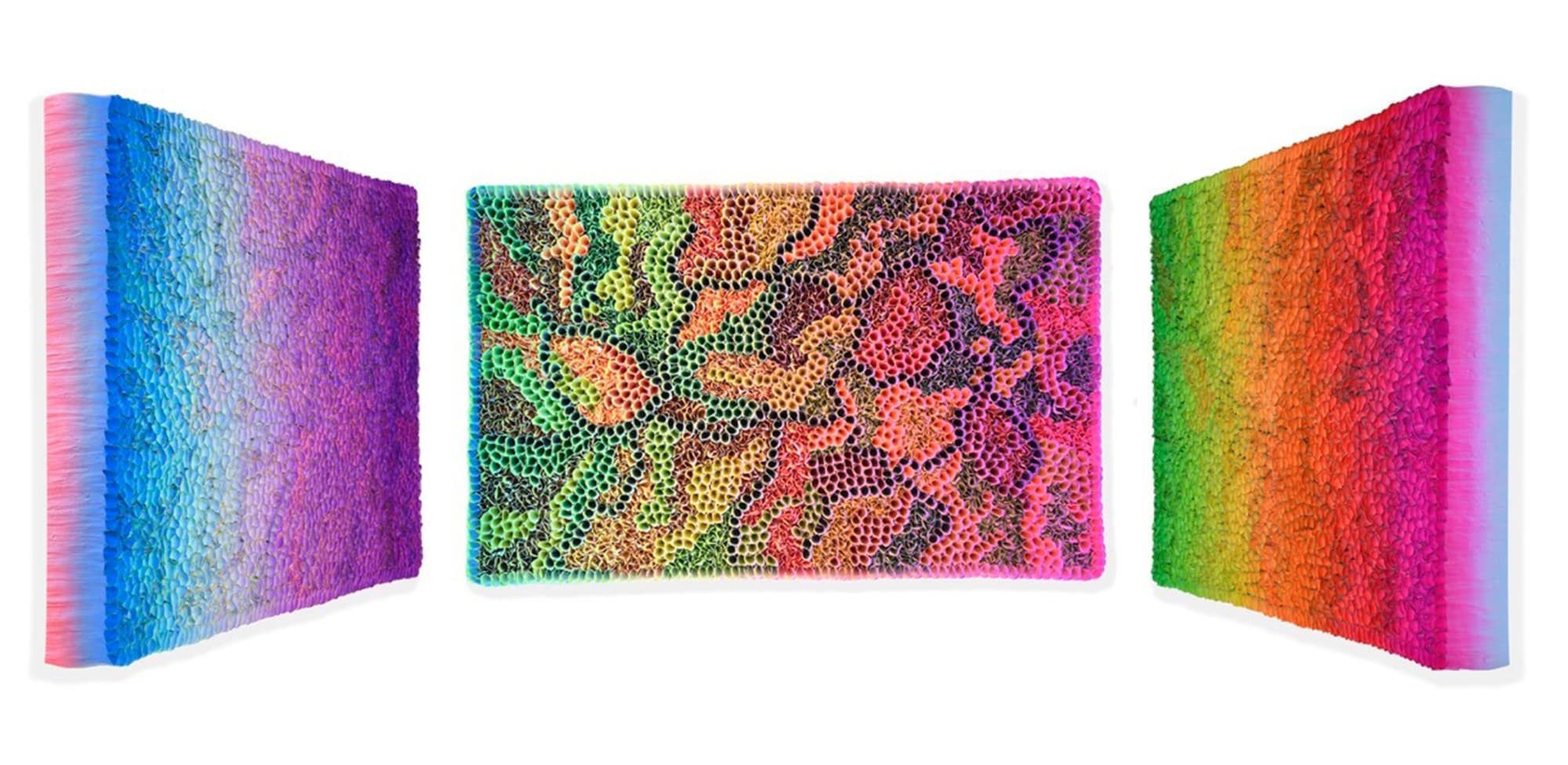 Zhuang Hong Yi, Solar Flare, 2021