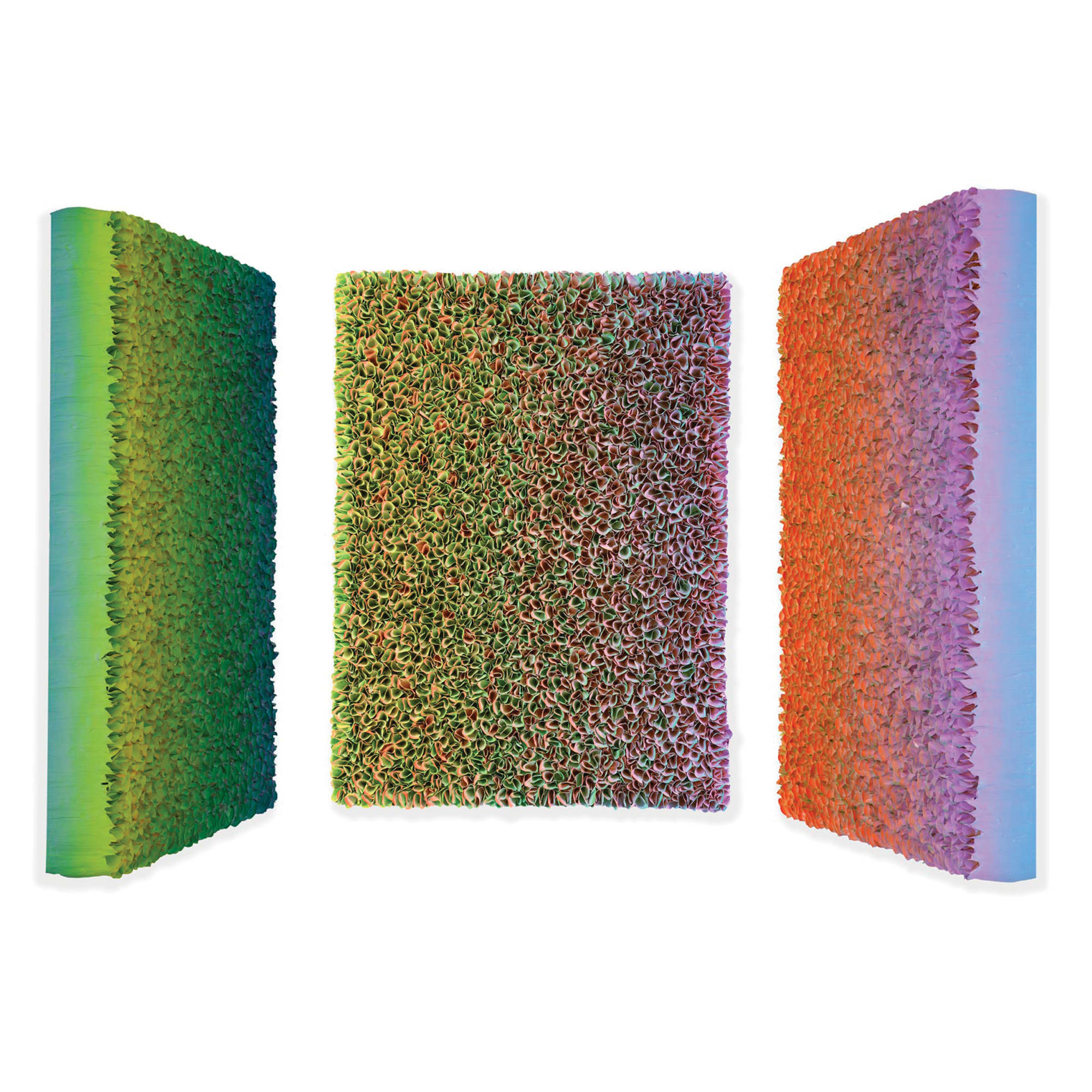 Zhuang Hong Yi, Tree of Life, 2019