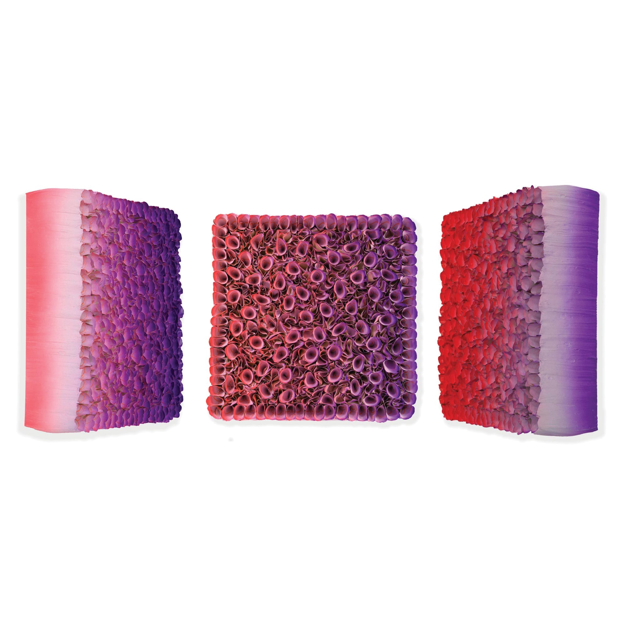 Zhuang Hong Yi, In Bioom, 2019