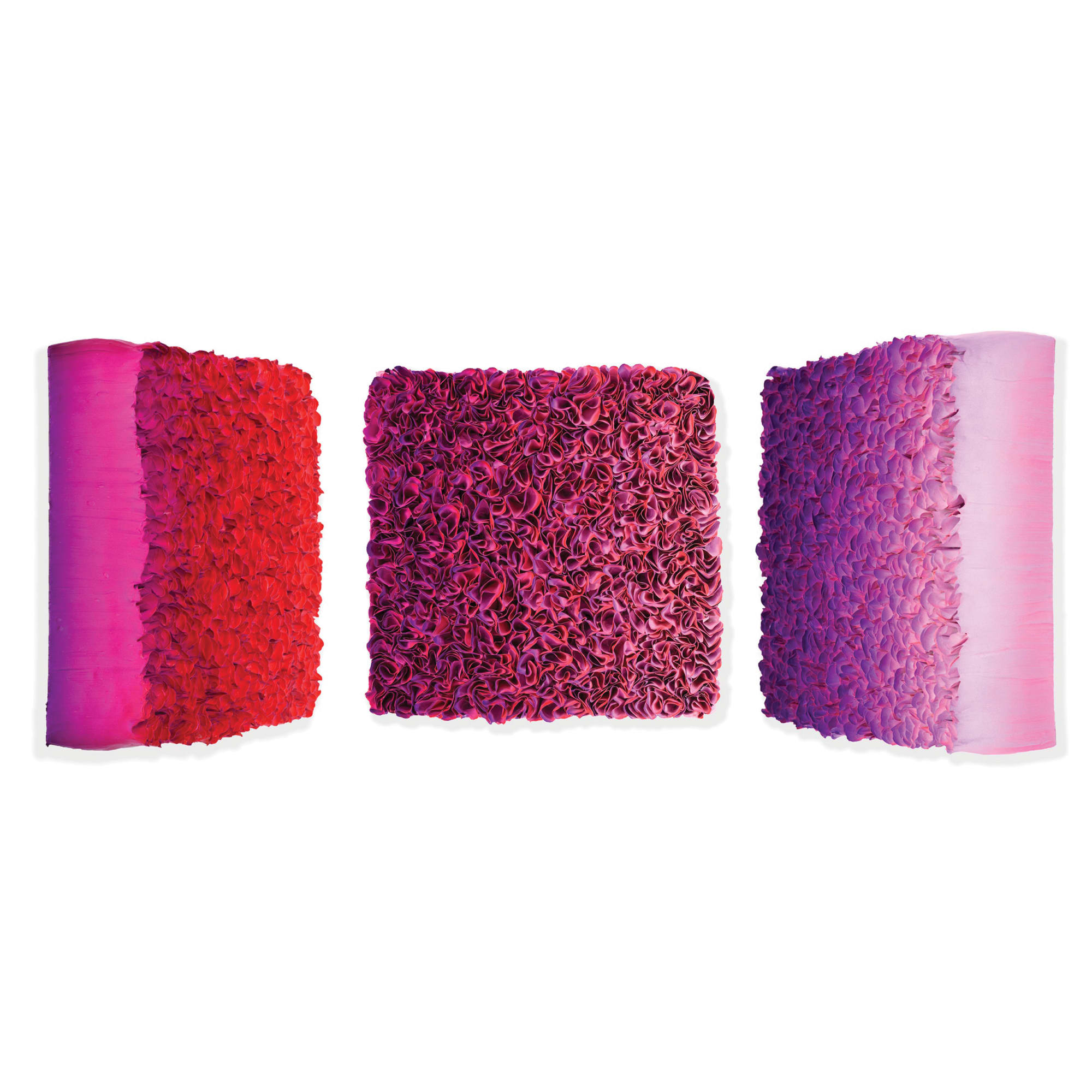 Zhuang Hong Yi, Petal Field, 2019