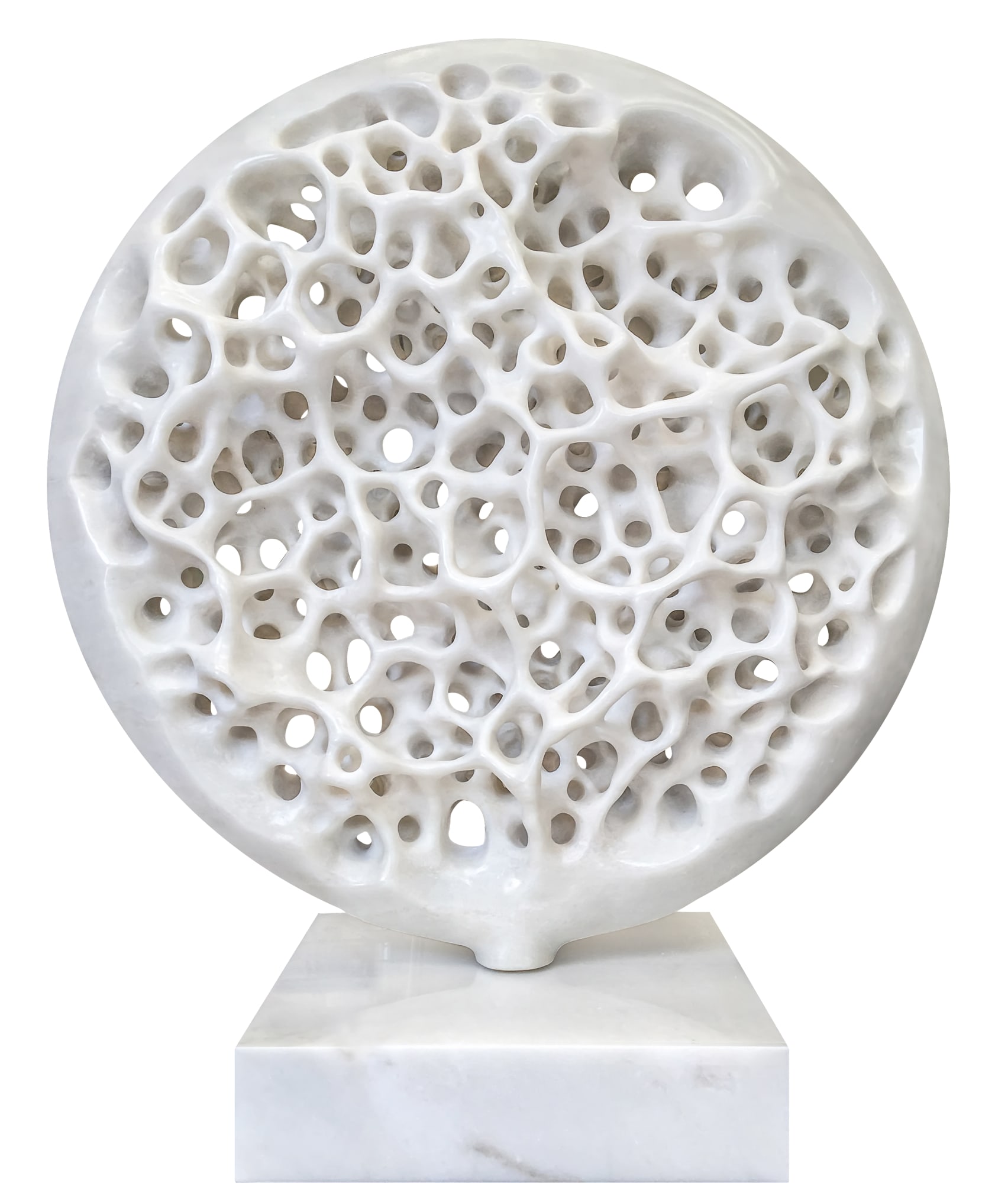 Gianfranco Meggiato, Disco Alveare, 2019