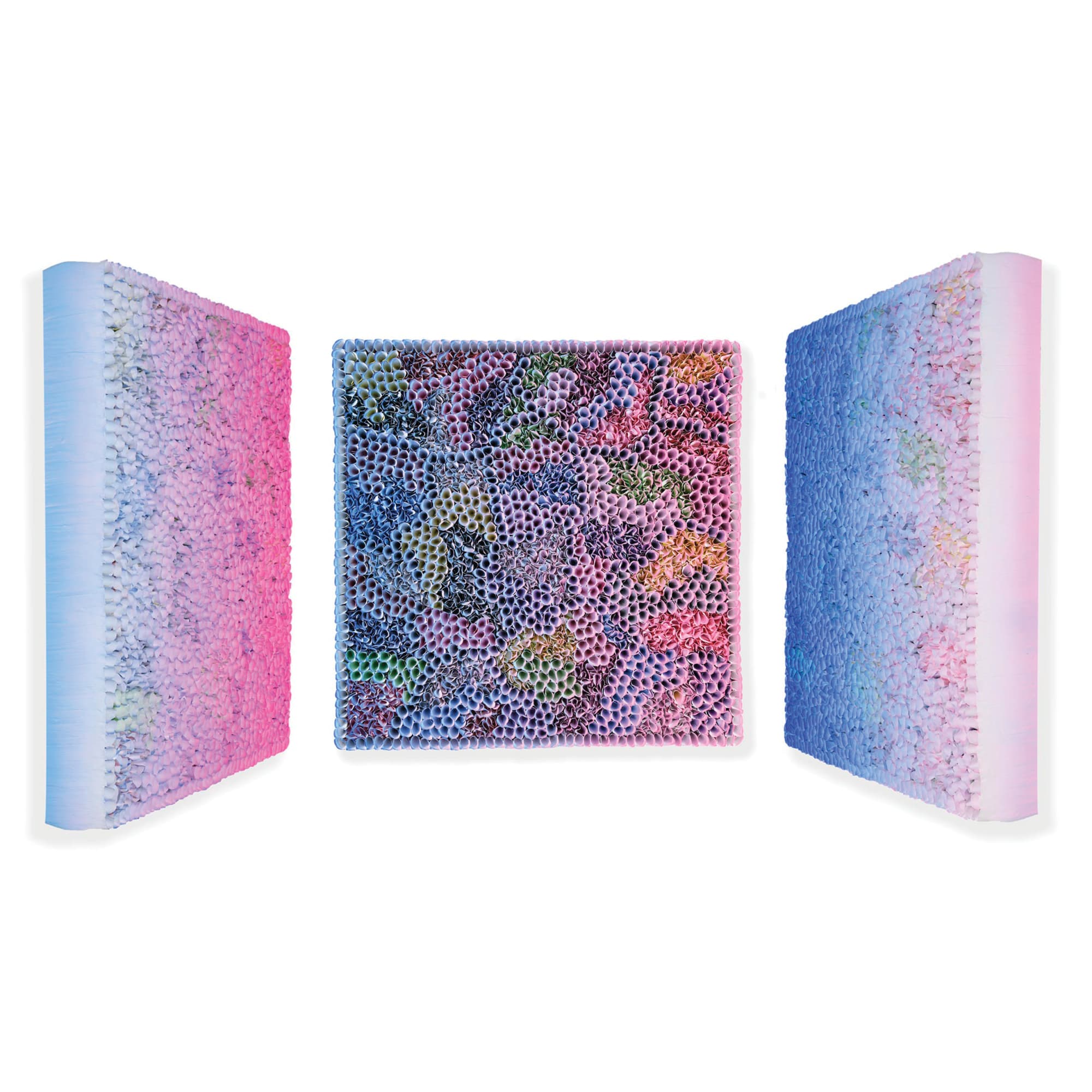 Zhuang Hong Yi, Whisper, 2019