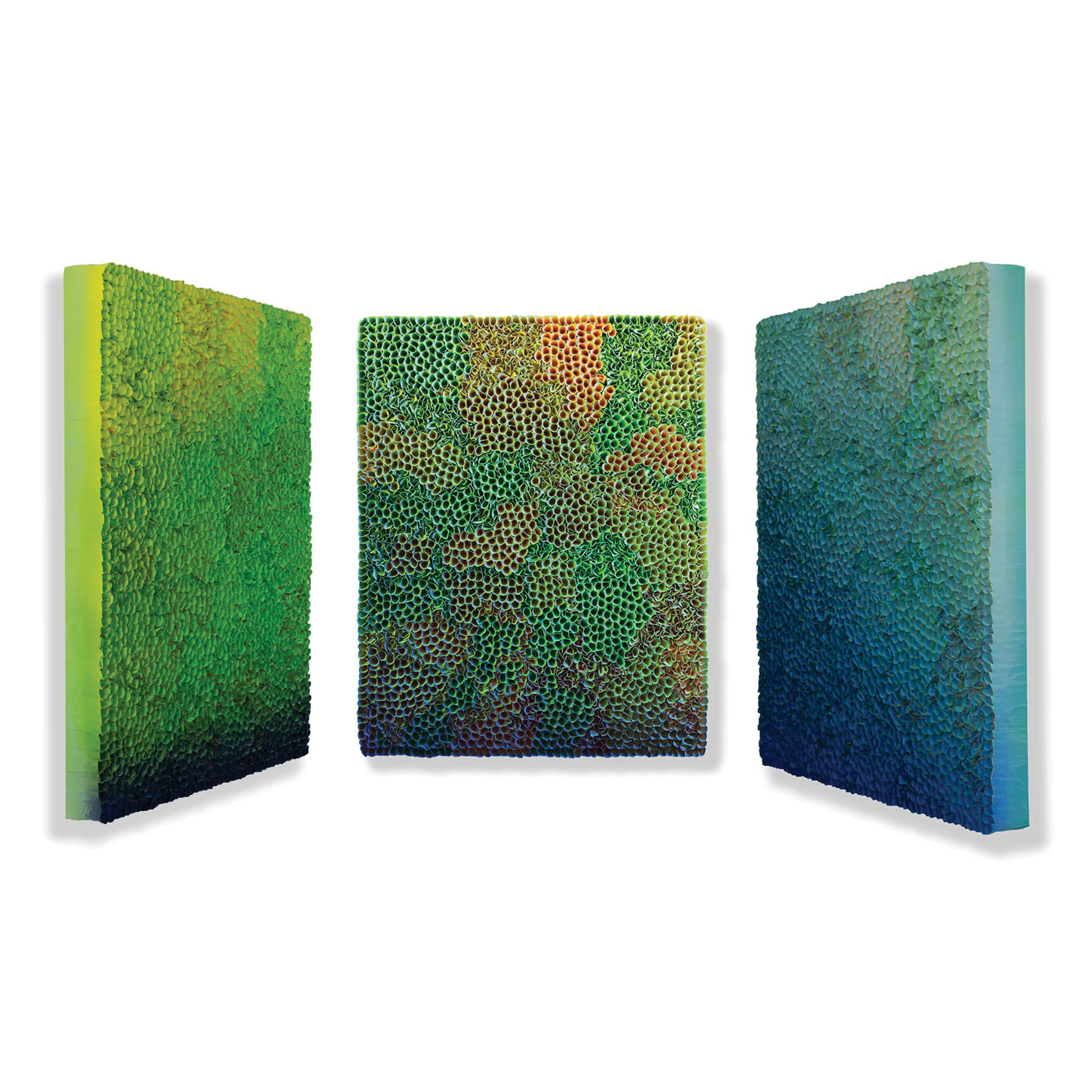 Zhuang Hong Yi, Emerald