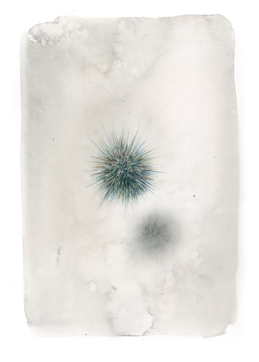 Rachel Goodyear, Floater, 2016